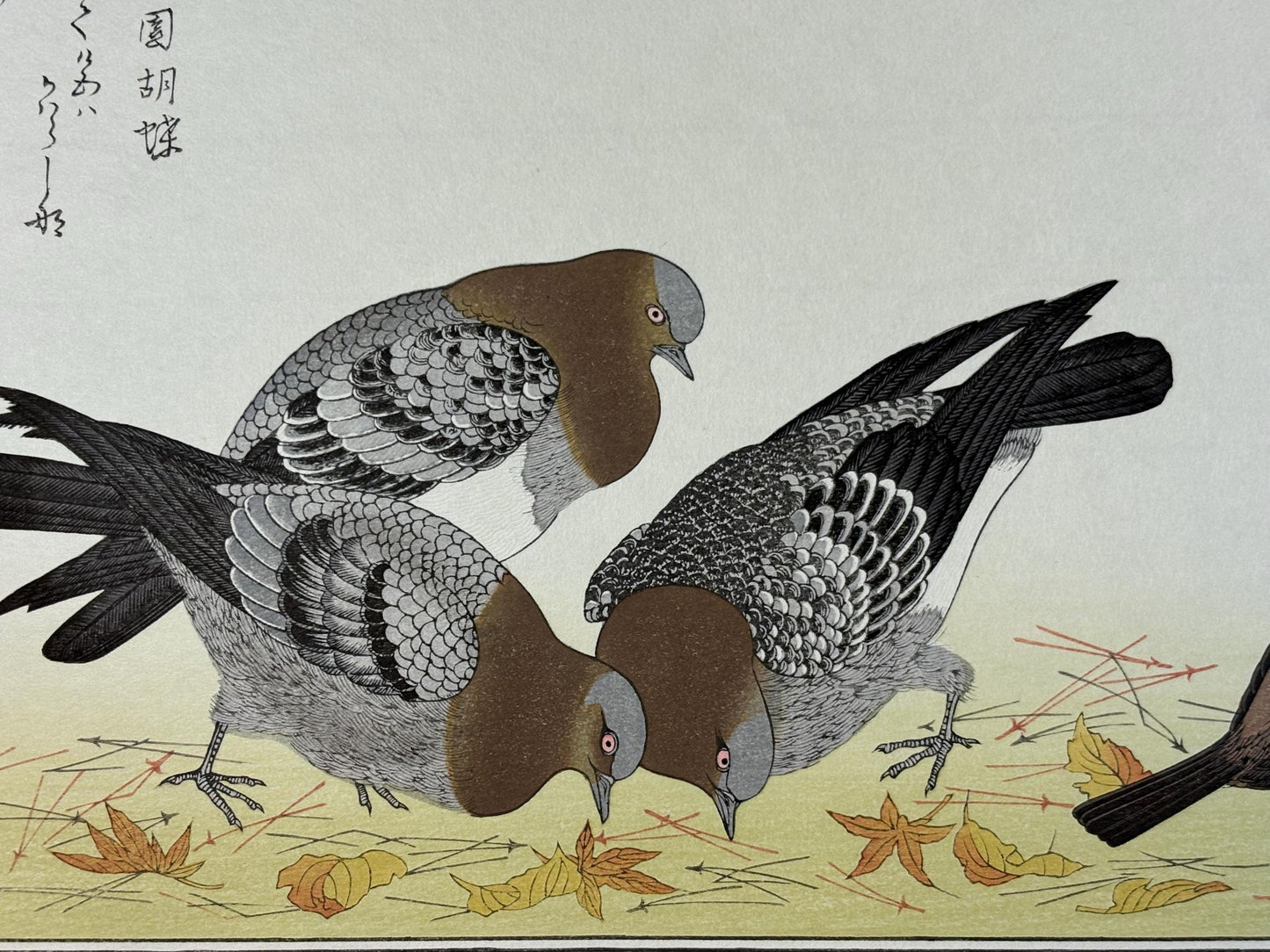 Japanese Ukiyo-e, woodblock print, Utamaro , "Sparrow and Pigeon"