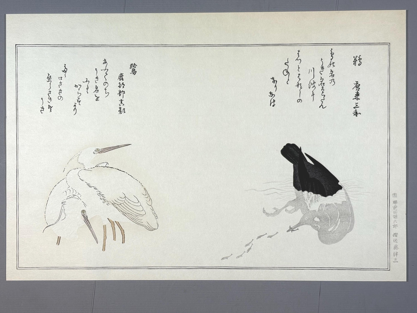 Japanese Ukiyo-e, woodblock print, Utamaro , "Cormorant and Heron"