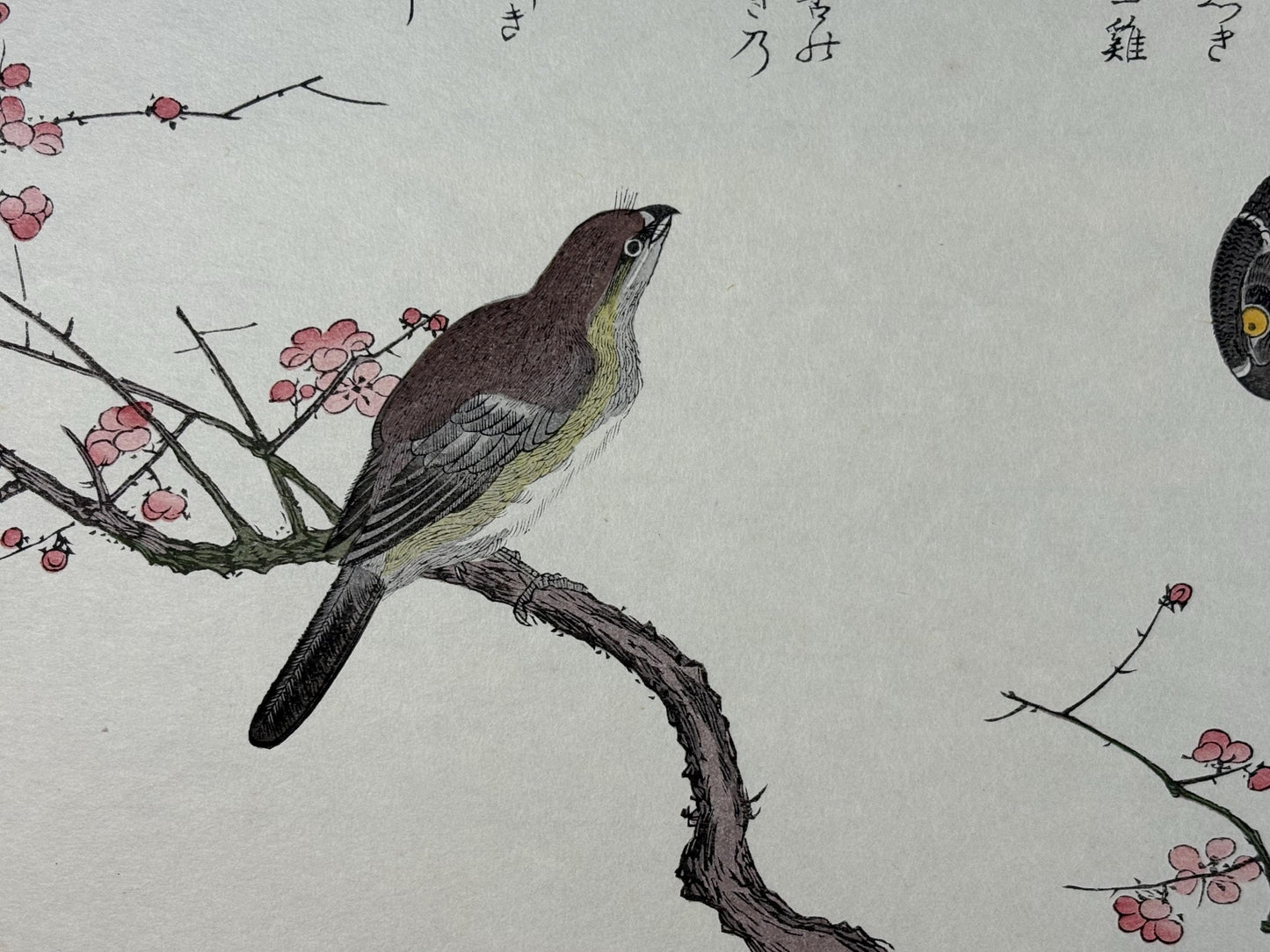 Japanese Ukiyo-e, woodblock print, Utamaro , "Hawk and Shrike"