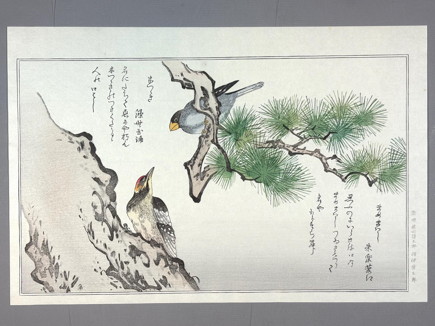 Japanese Ukiyo-e, woodblock print, Utamaro , "Long-tailed Tit and Woodpecker"