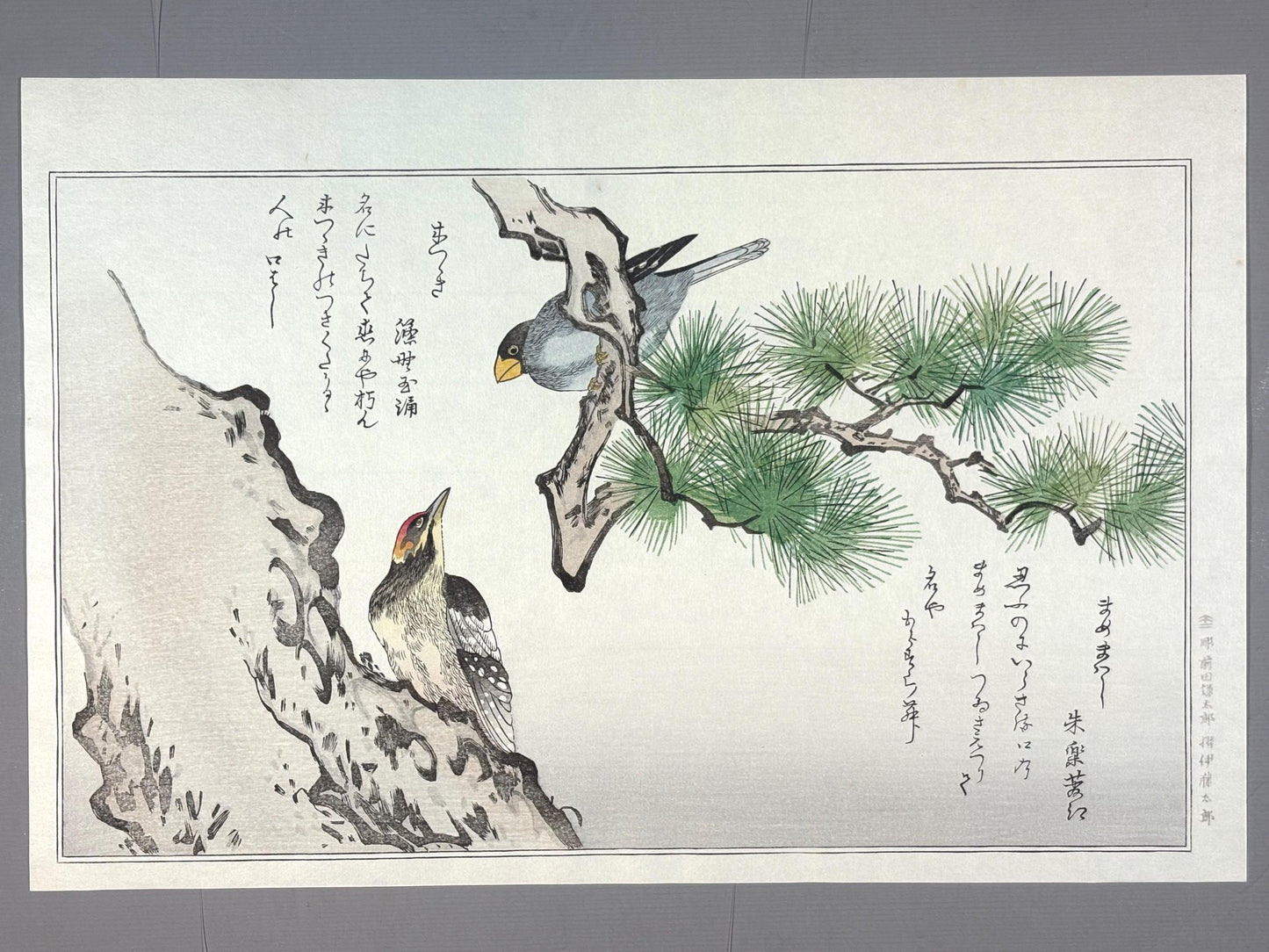 Japanese Ukiyo-e, woodblock print, Utamaro , "Long-tailed Tit and Woodpecker"