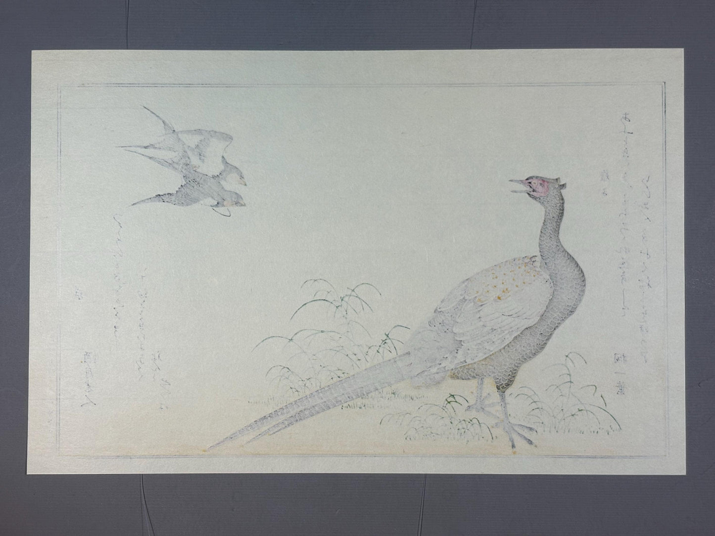 Japanese Ukiyo-e, woodblock print, Utamaro , "Swallow and Pheasant"