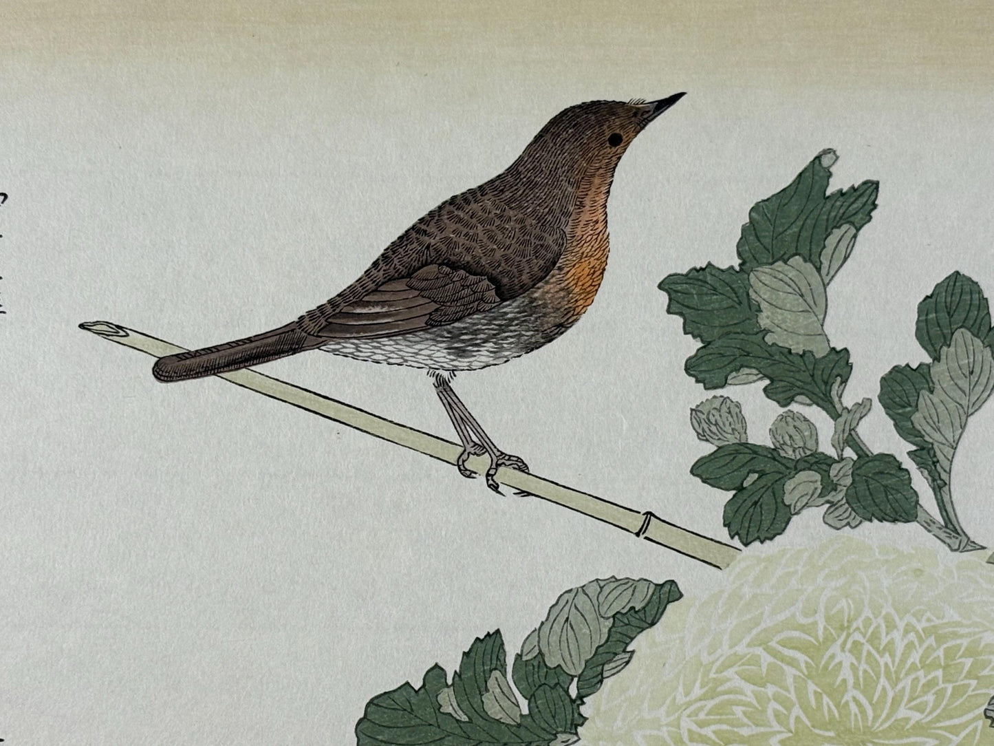 Japanese Ukiyo-e, woodblock print, Utamaro , "Japanese Tit and Japanese Robin"