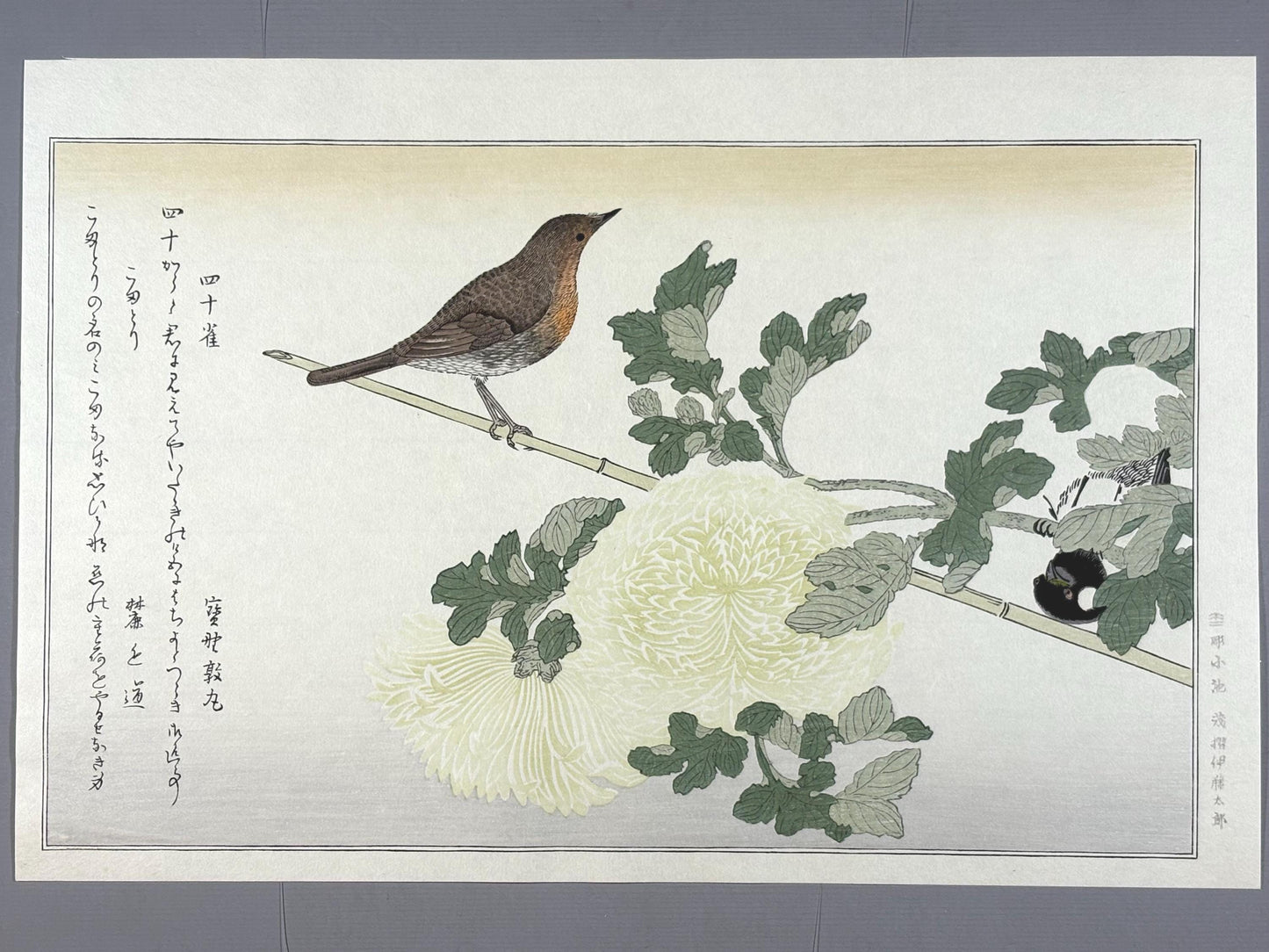 Japanese Ukiyo-e, woodblock print, Utamaro , "Japanese Tit and Japanese Robin"