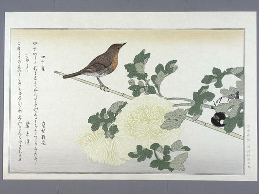 Japanese Ukiyo-e, woodblock print, Utamaro , "Japanese Tit and Japanese Robin"
