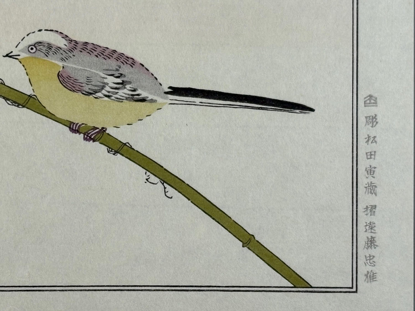 Japanese Ukiyo-e, woodblock print, Utamaro , "Long-tailed Tit and Japanese White-eye"