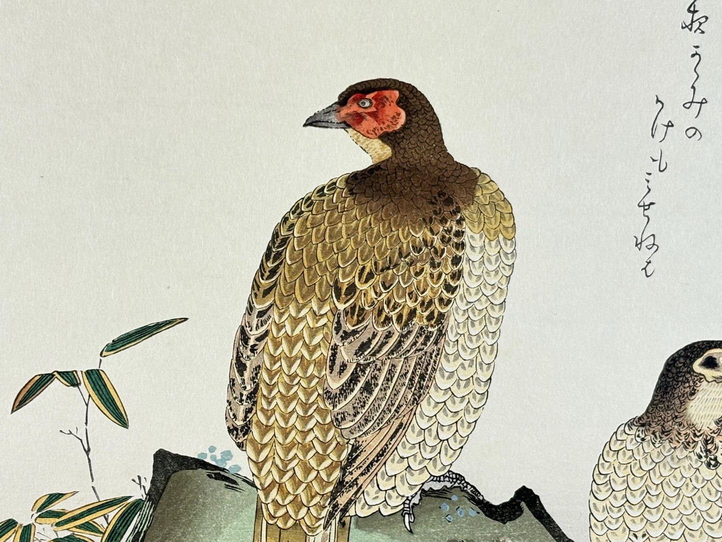Japanese Ukiyo-e, woodblock print, Utamaro , "Copper Pheasant and Wagtail"