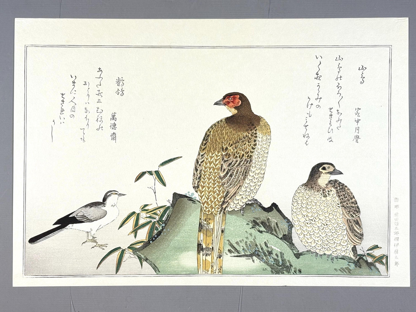 Japanese Ukiyo-e, woodblock print, Utamaro , "Copper Pheasant and Wagtail"
