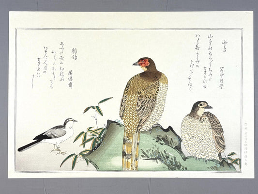 Japanese Ukiyo-e, woodblock print, Utamaro , "Copper Pheasant and Wagtail"