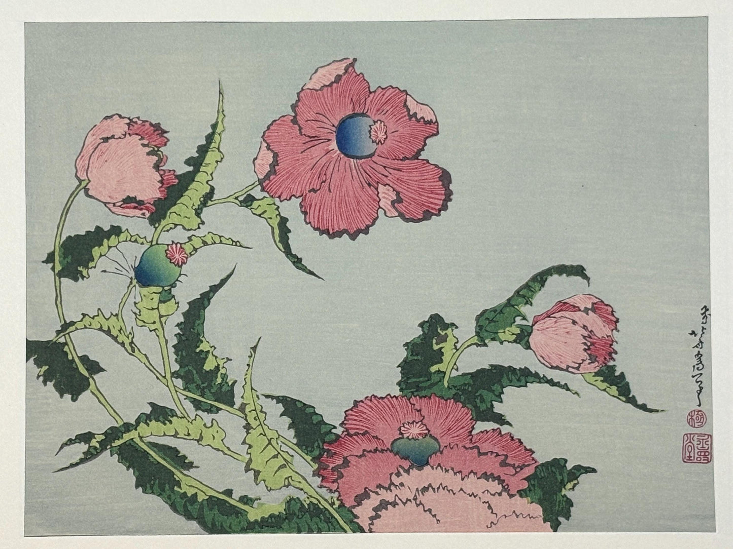 Japanese Ukiyoe, Woodblock print, Katsushika Hokusai, "A poppy"