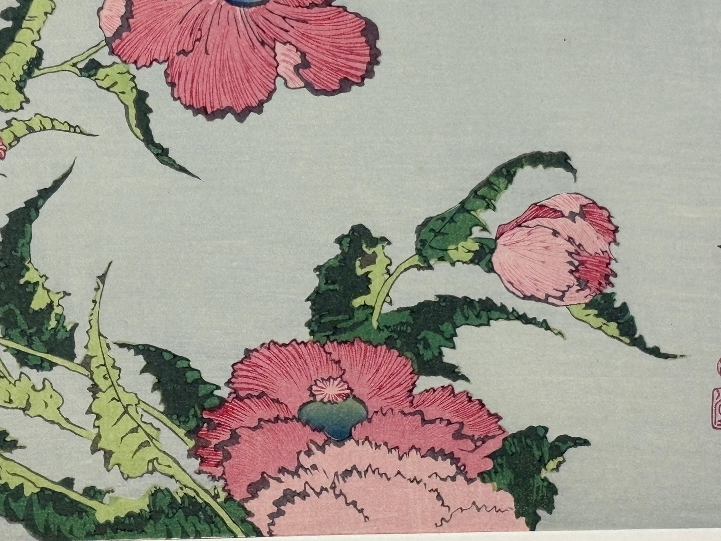 Japanese Ukiyoe, Woodblock print, Katsushika Hokusai, "A poppy"