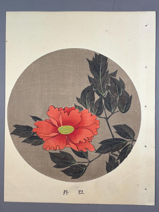 1908, Japanese antique woodblock print, Ito Jakuchu, "Peony, from Jakuchu gafu"