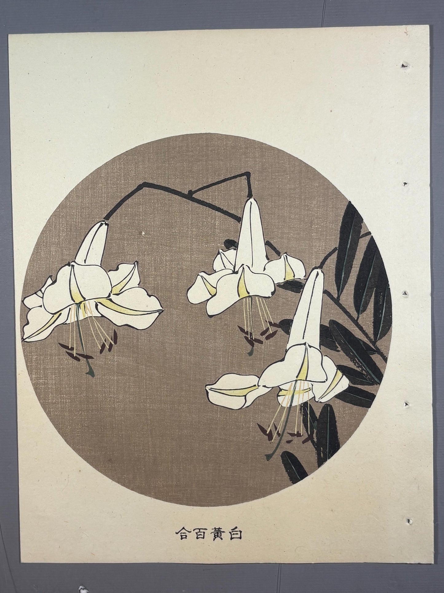 1908, Japanese antique woodblock print, Ito Jakuchu, "Lily, from Jakuchu gafu"