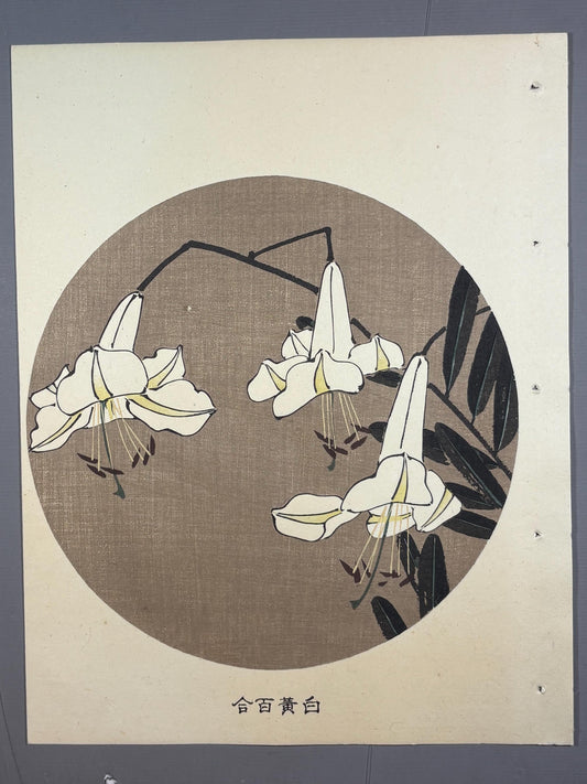 1908, Japanese antique woodblock print, Ito Jakuchu, "Lily, from Jakuchu gafu"