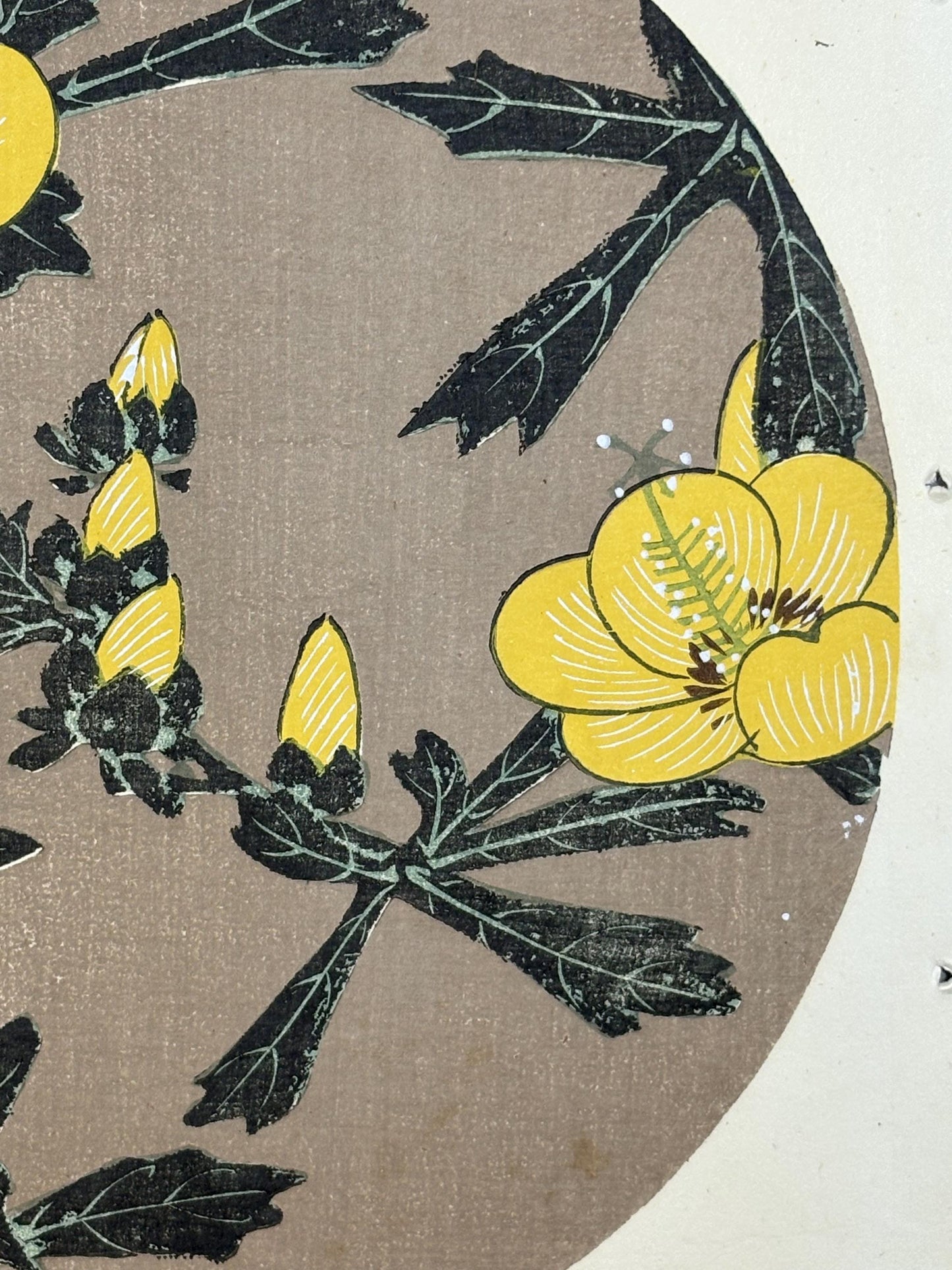 1908, Japanese antique woodblock print, Ito Jakuchu, "Aibika, from Jakuchu gafu"