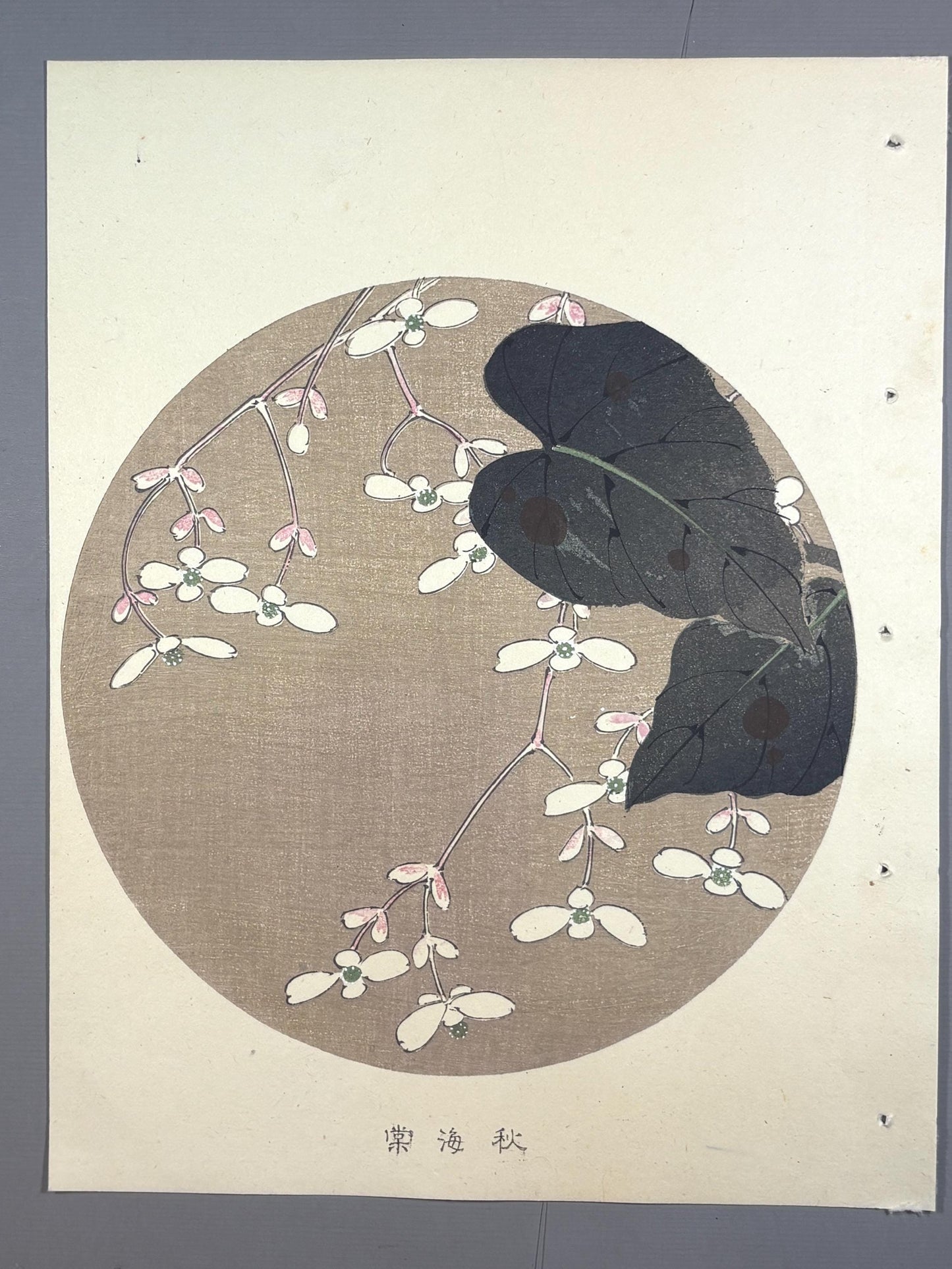 1908, Japanese antique woodblock print, Ito Jakuchu, "hardy begonia, from Jakuchu gafu"
