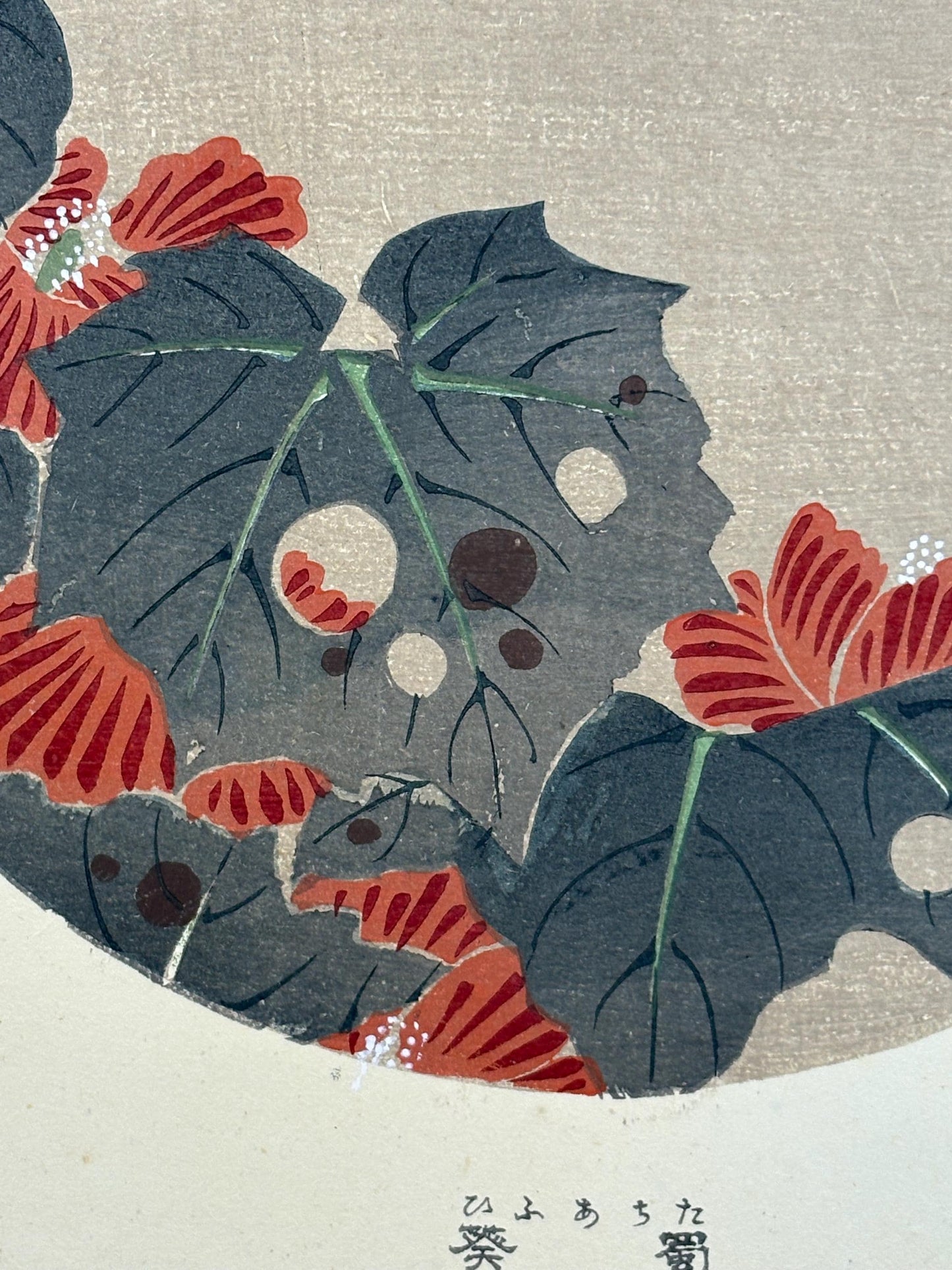 1908, Japanese antique woodblock print, Ito Jakuchu, "Althaea rosea, from Jakuchu gafu"