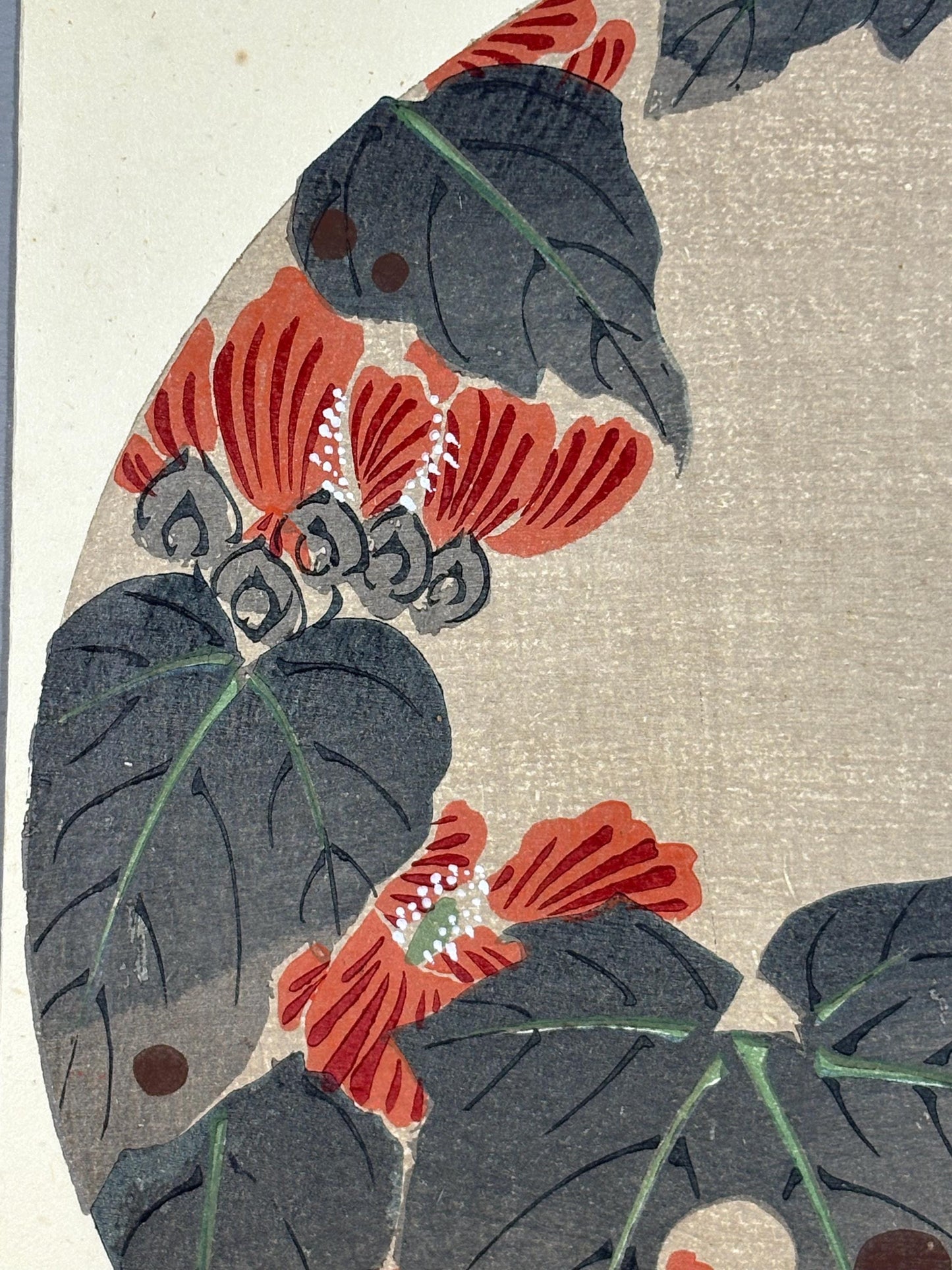 1908, Japanese antique woodblock print, Ito Jakuchu, "Althaea rosea, from Jakuchu gafu"