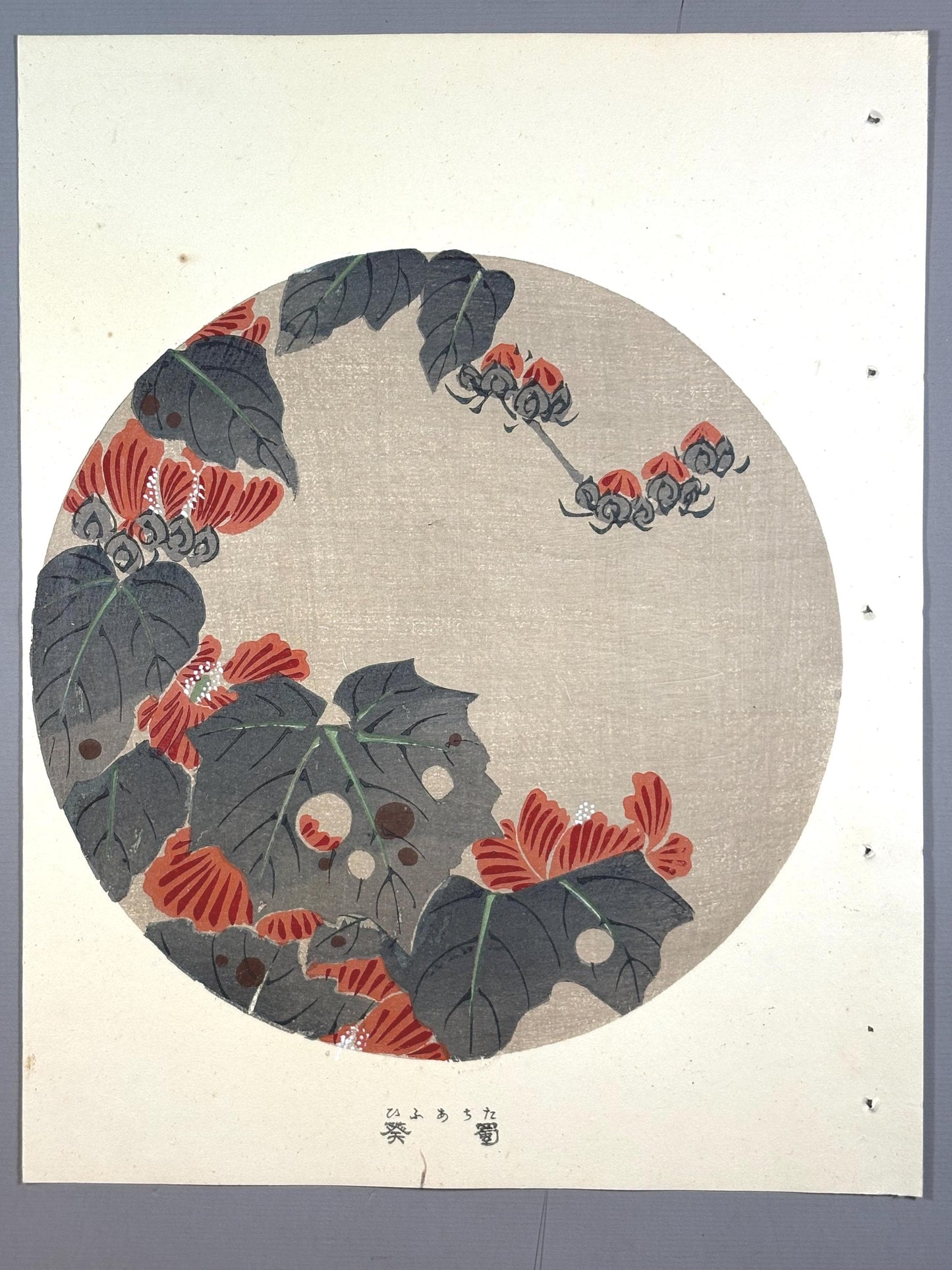 1908, Japanese antique woodblock print, Ito Jakuchu, "Althaea rosea, from Jakuchu gafu"