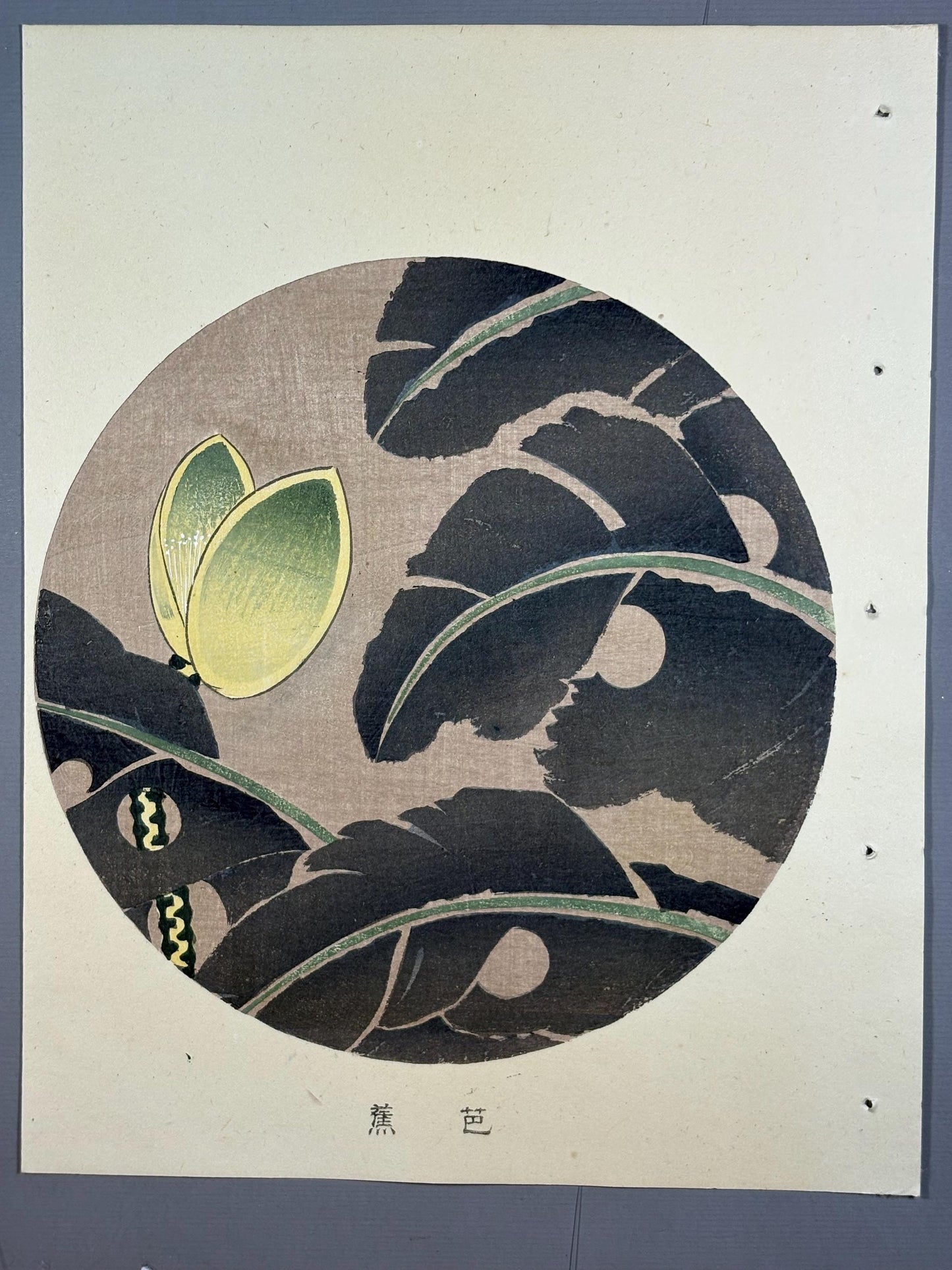 1908, Japanese antique woodblock print, Ito Jakuchu, "Japanese fiber banana, from Jakuchu gafu"