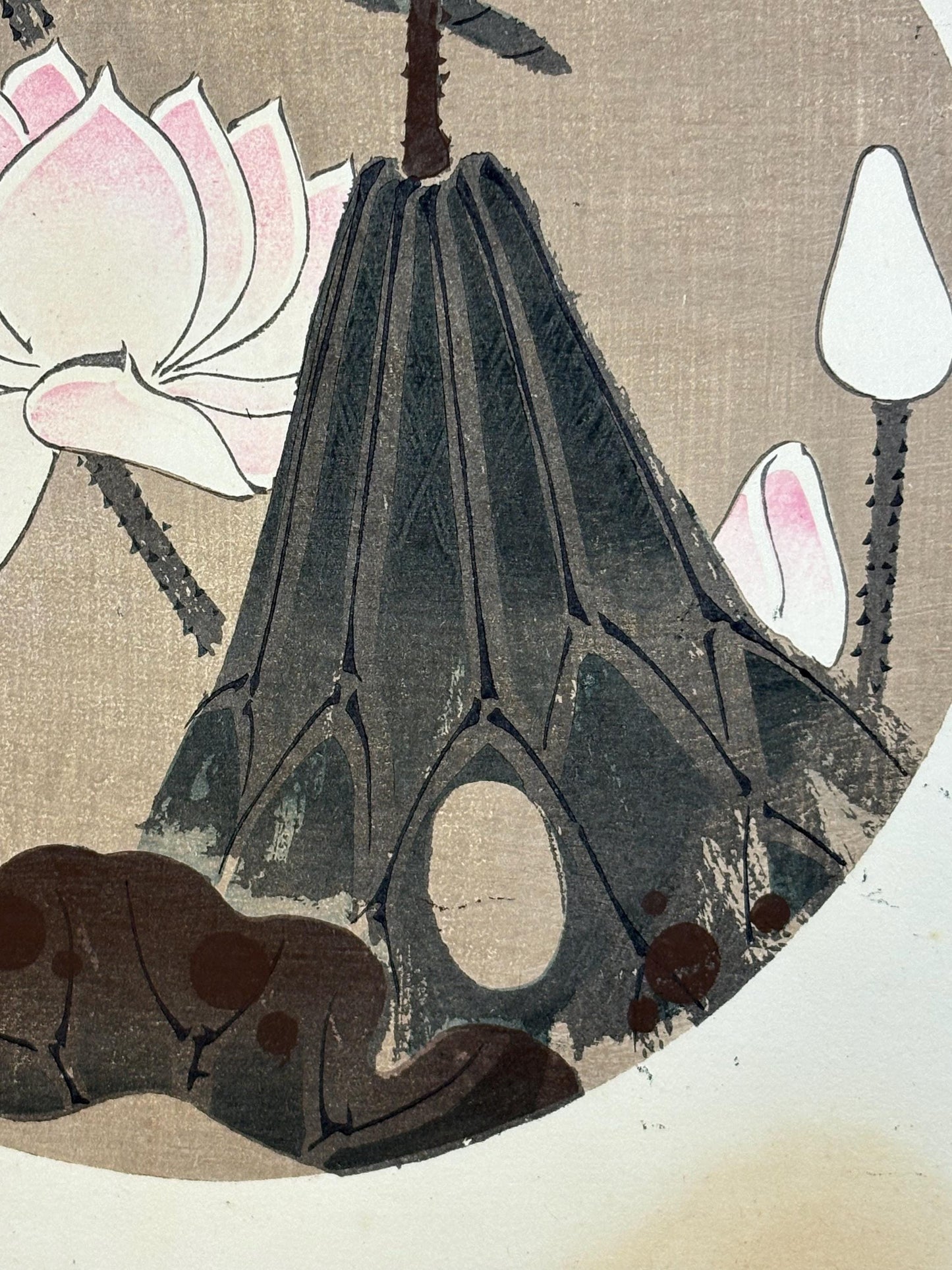 1908, Japanese antique woodblock print, Ito Jakuchu, "Lotus, from Jakuchu gafu"