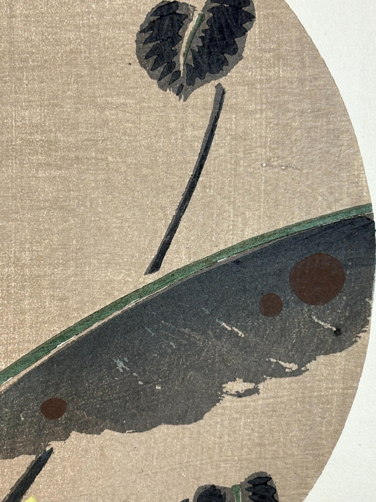 1908, Japanese antique woodblock print, Ito Jakuchu, "Scarlet banana, from Jakuchu gafu"
