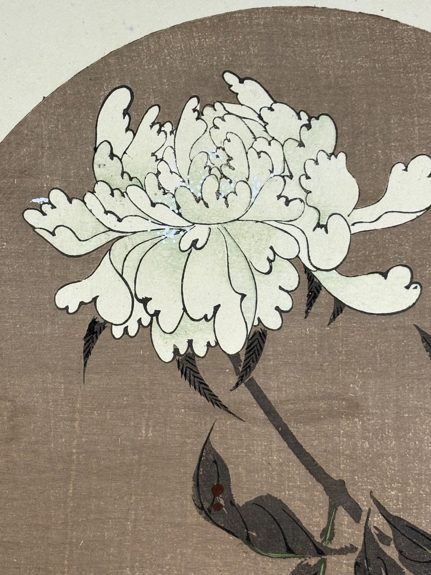1908, Japanese antique woodblock print, Ito Jakuchu, "Paeonia lactiflora, from Jakuchu gafu"