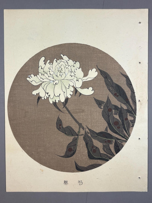 1908, Japanese antique woodblock print, Ito Jakuchu, "Paeonia lactiflora, from Jakuchu gafu"