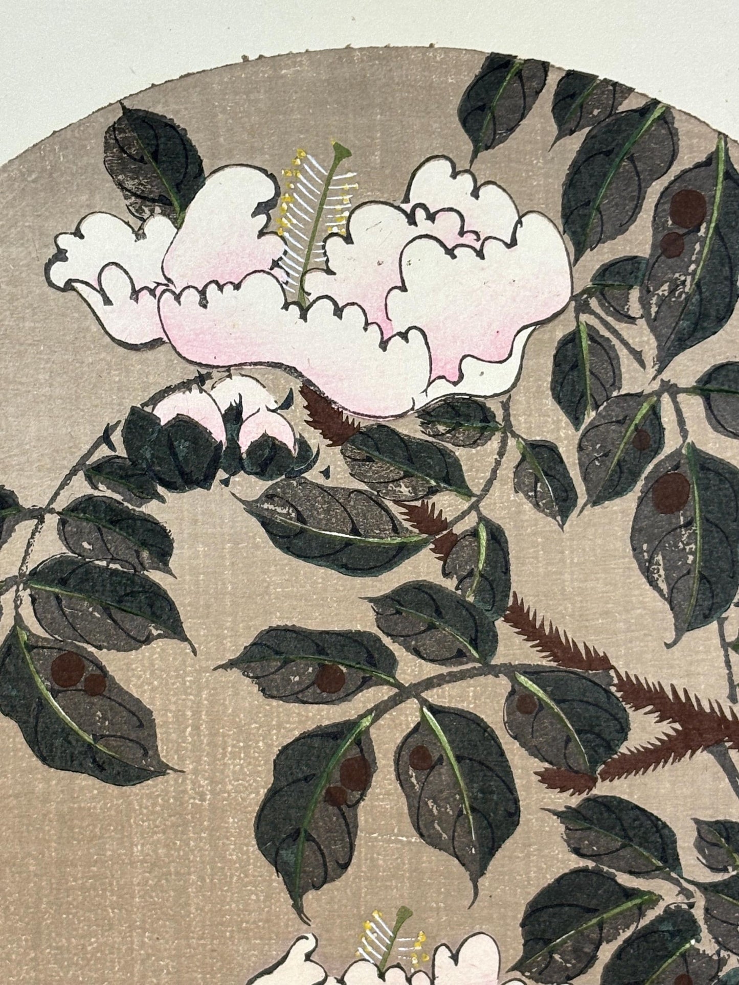1908, Japanese antique woodblock print, Ito Jakuchu, "Japanese Pagoda Tree, from Jakuchu gafu"