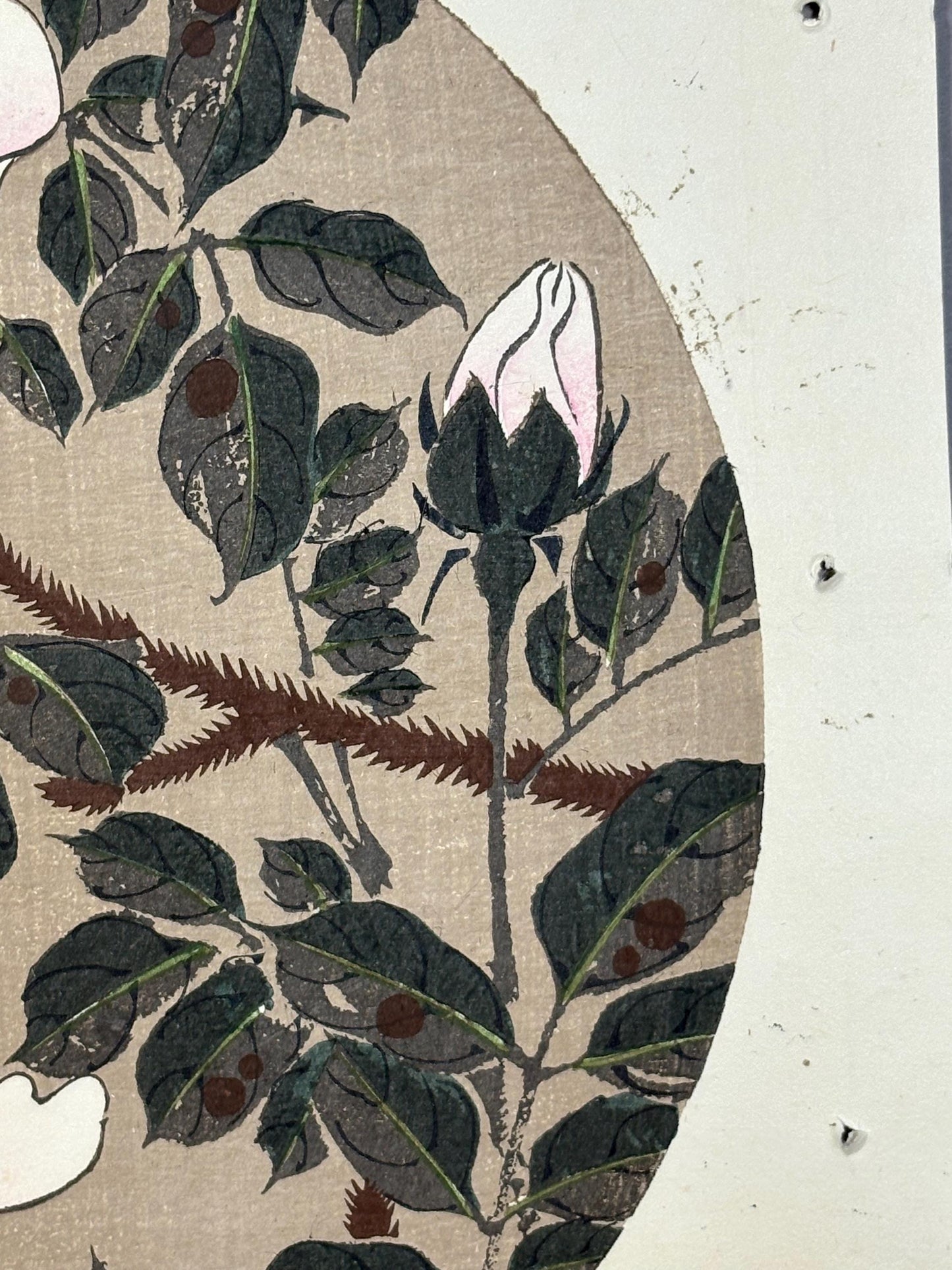 1908, Japanese antique woodblock print, Ito Jakuchu, "Japanese Pagoda Tree, from Jakuchu gafu"
