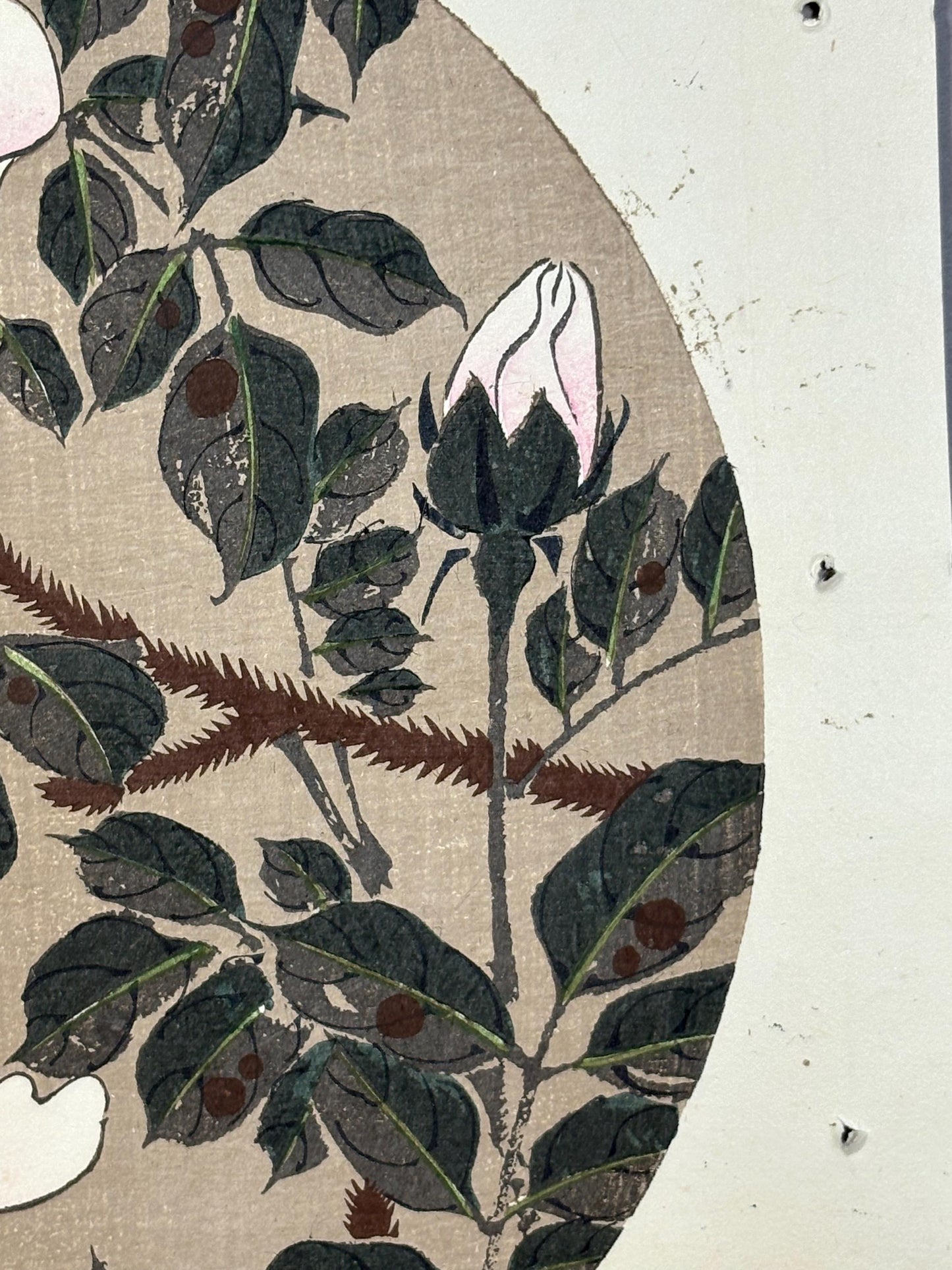 1908, Japanese antique woodblock print, Ito Jakuchu, "Japanese Pagoda Tree, from Jakuchu gafu"