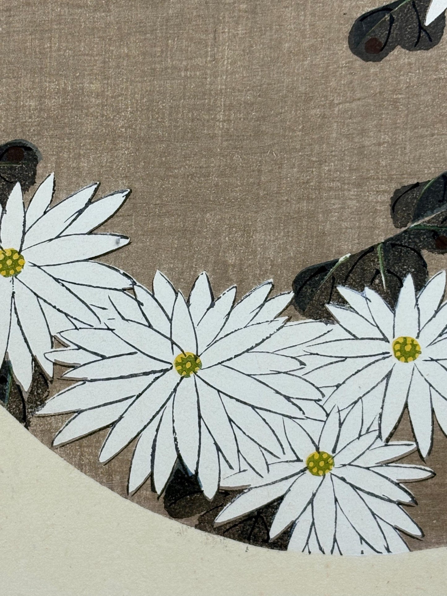 1908, Japanese antique woodblock print, Ito Jakuchu, "Chrysanthemum, from Jakuchu gafu"