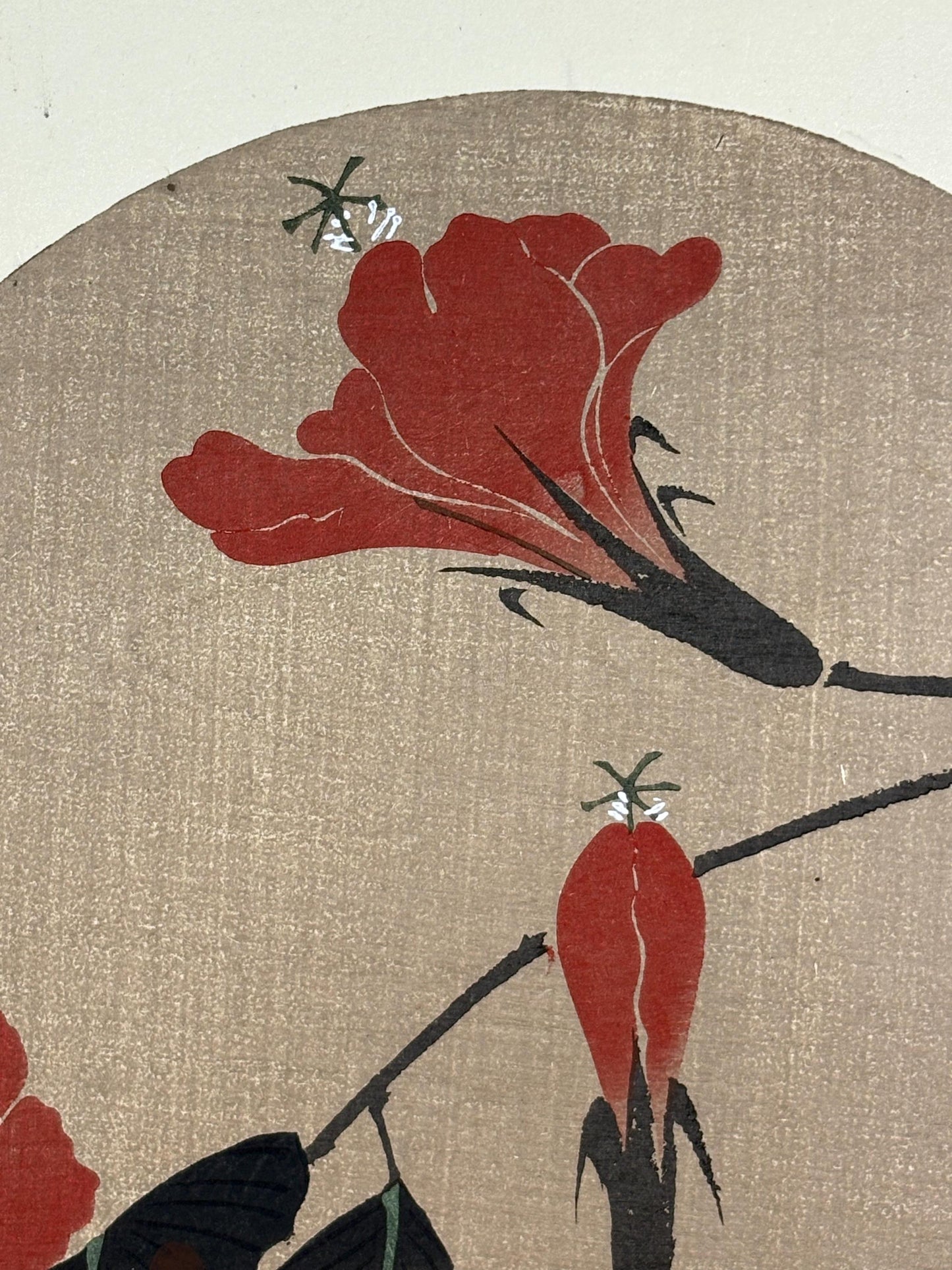 1908, Japanese antique woodblock print, Ito Jakuchu, "Hibiscus, from Jakuchu gafu"