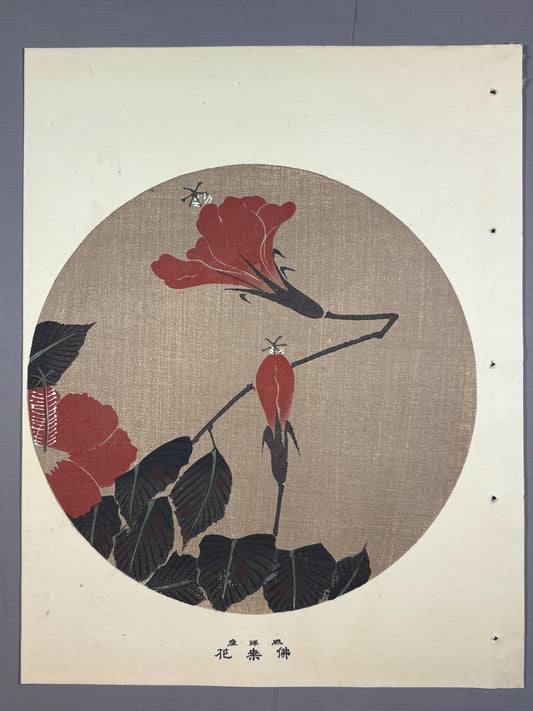1908, Japanese antique woodblock print, Ito Jakuchu, "Hibiscus, from Jakuchu gafu"