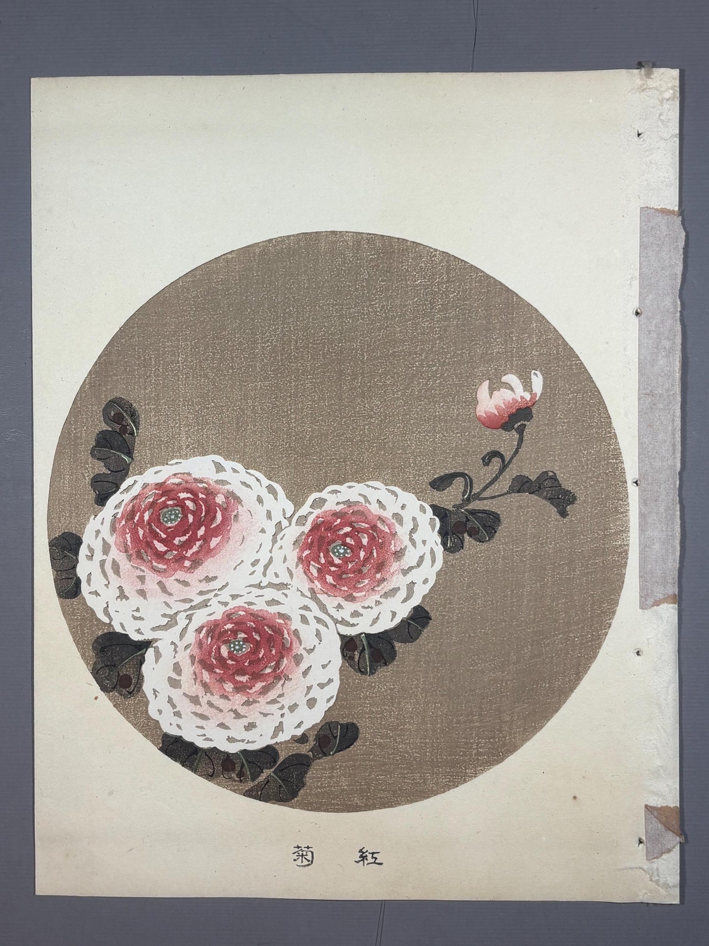 1908, Japanese antique woodblock print, Ito Jakuchu, "Red chrysanthemum, from Jakuchu gafu"