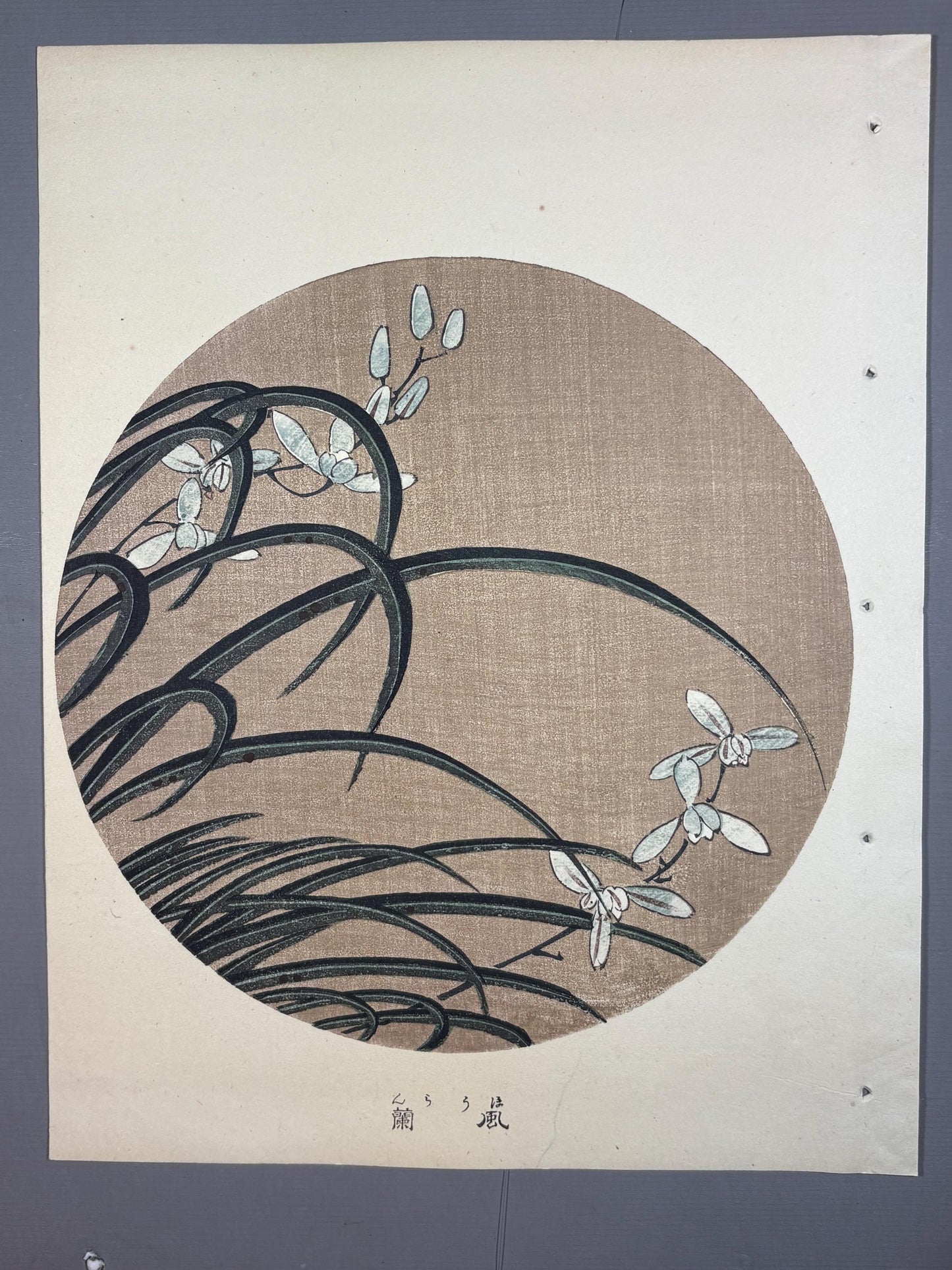 1908, Japanese antique woodblock print, Ito Jakuchu, "wind orchid, from Jakuchu gafu"