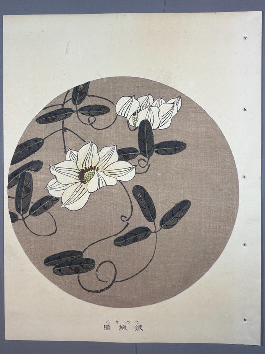 1908, Japanese antique woodblock print, Ito Jakuchu, "clematis, from Jakuchu gafu"