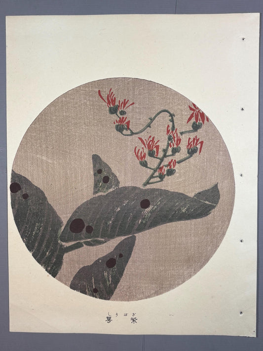 1908, Japanese antique woodblock print, Ito Jakuchu, "hosta, from Jakuchu gafu"