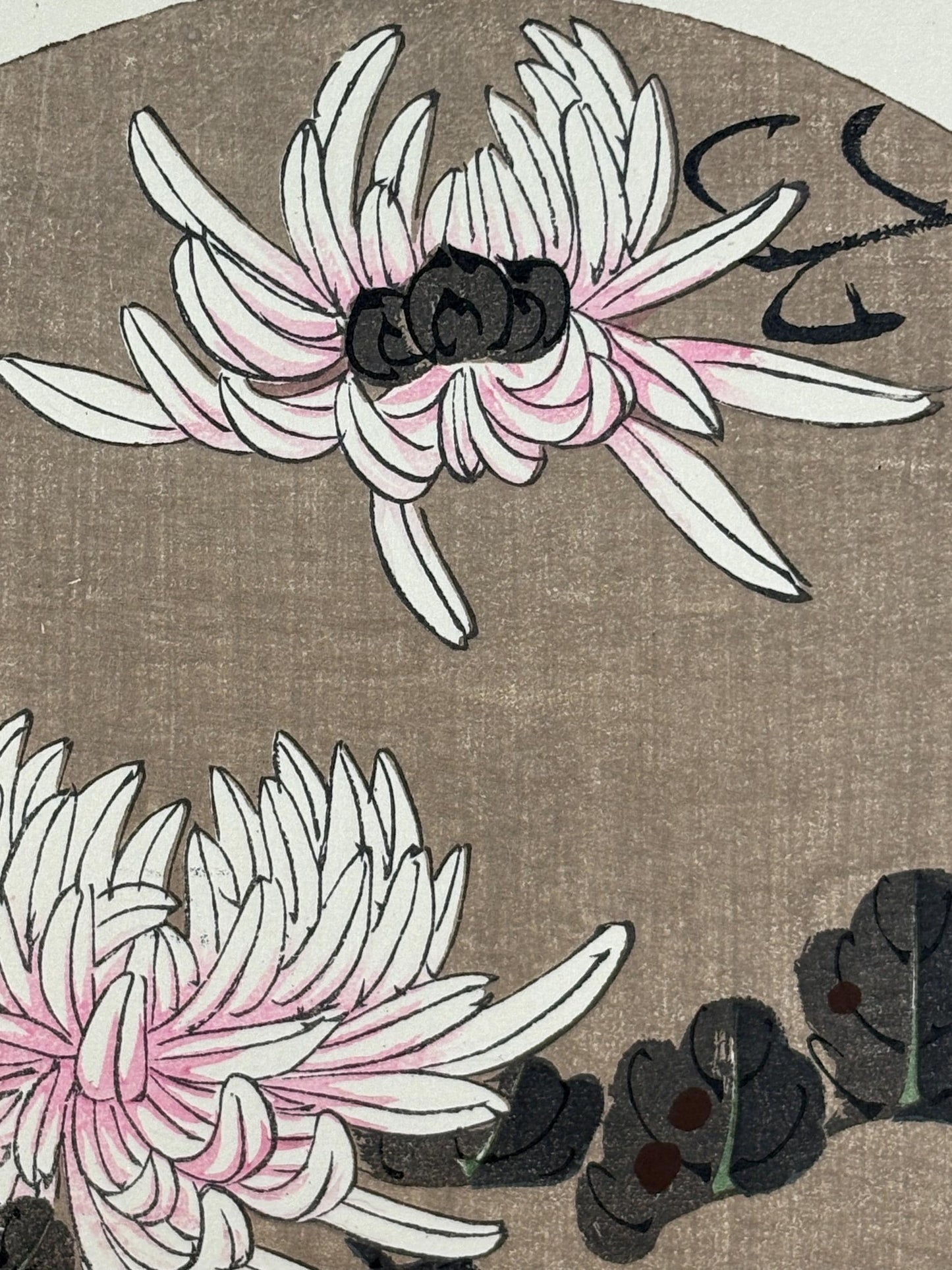 1908, Japanese antique woodblock print, Ito Jakuchu, "white chrysanthemum, from Jakuchu gafu"