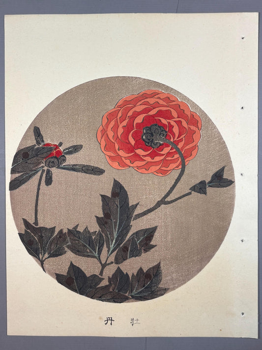1908, Japanese antique woodblock print, Ito Jakuchu, "peony, from Jakuchu gafu"