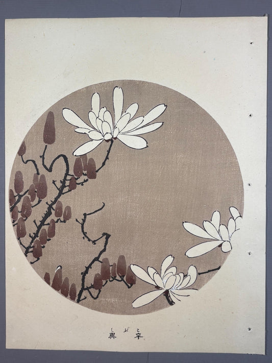 1908, Japanese antique woodblock print, Ito Jakuchu, "kobushi magnolia, from Jakuchu gafu"