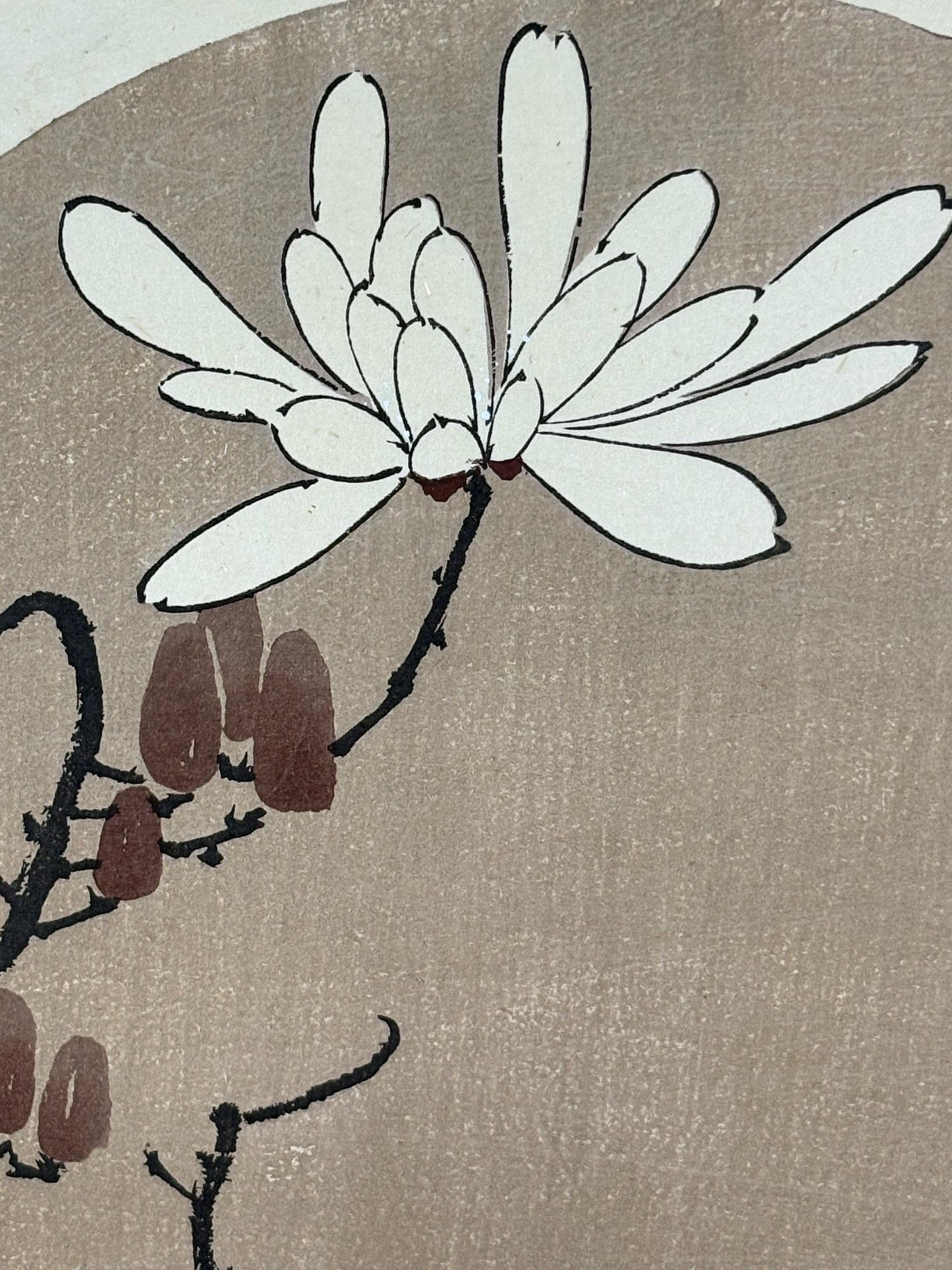 1908, Japanese antique woodblock print, Ito Jakuchu, "kobushi magnolia, from Jakuchu gafu"