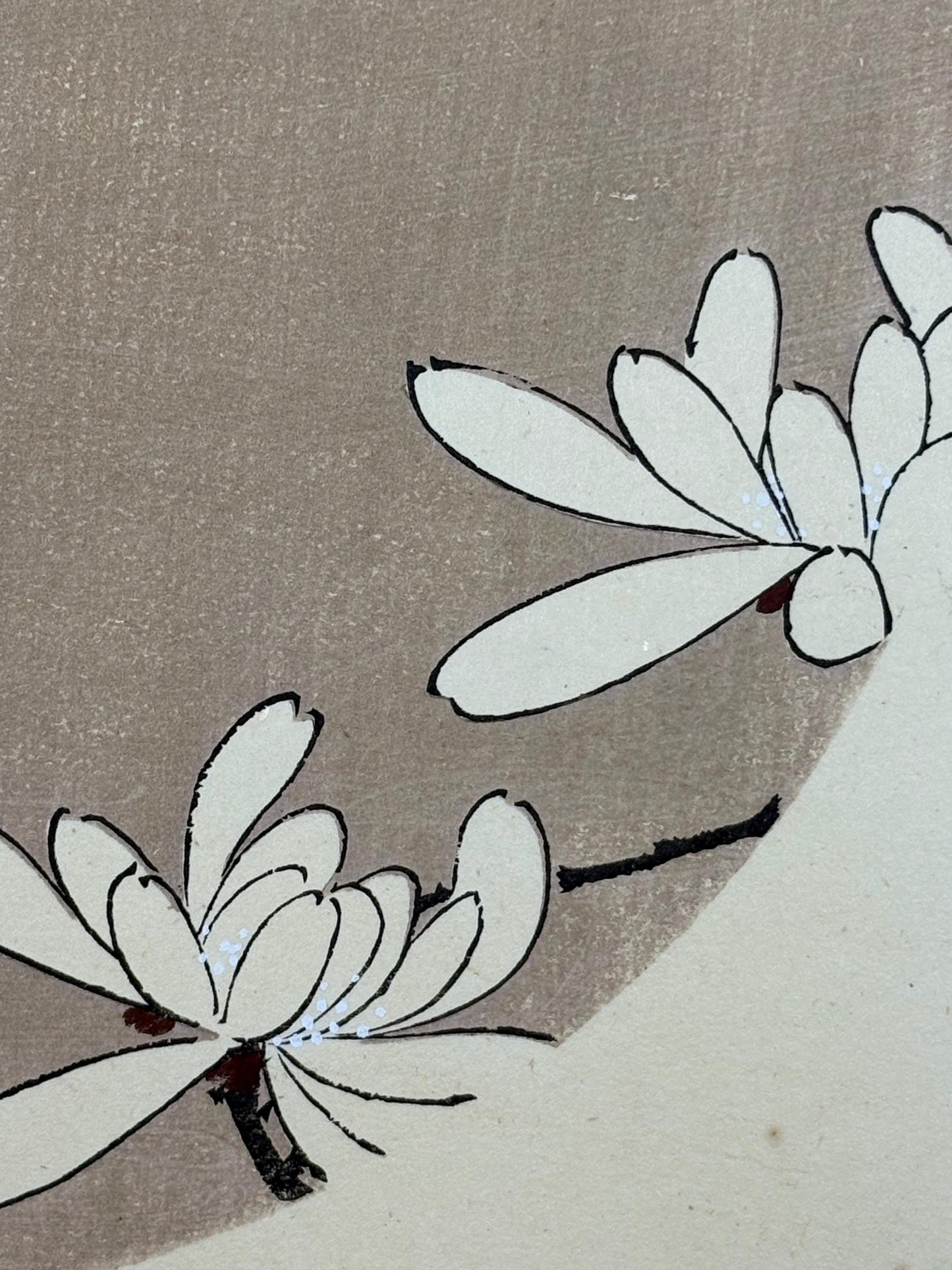 1908, Japanese antique woodblock print, Ito Jakuchu, "kobushi magnolia, from Jakuchu gafu"