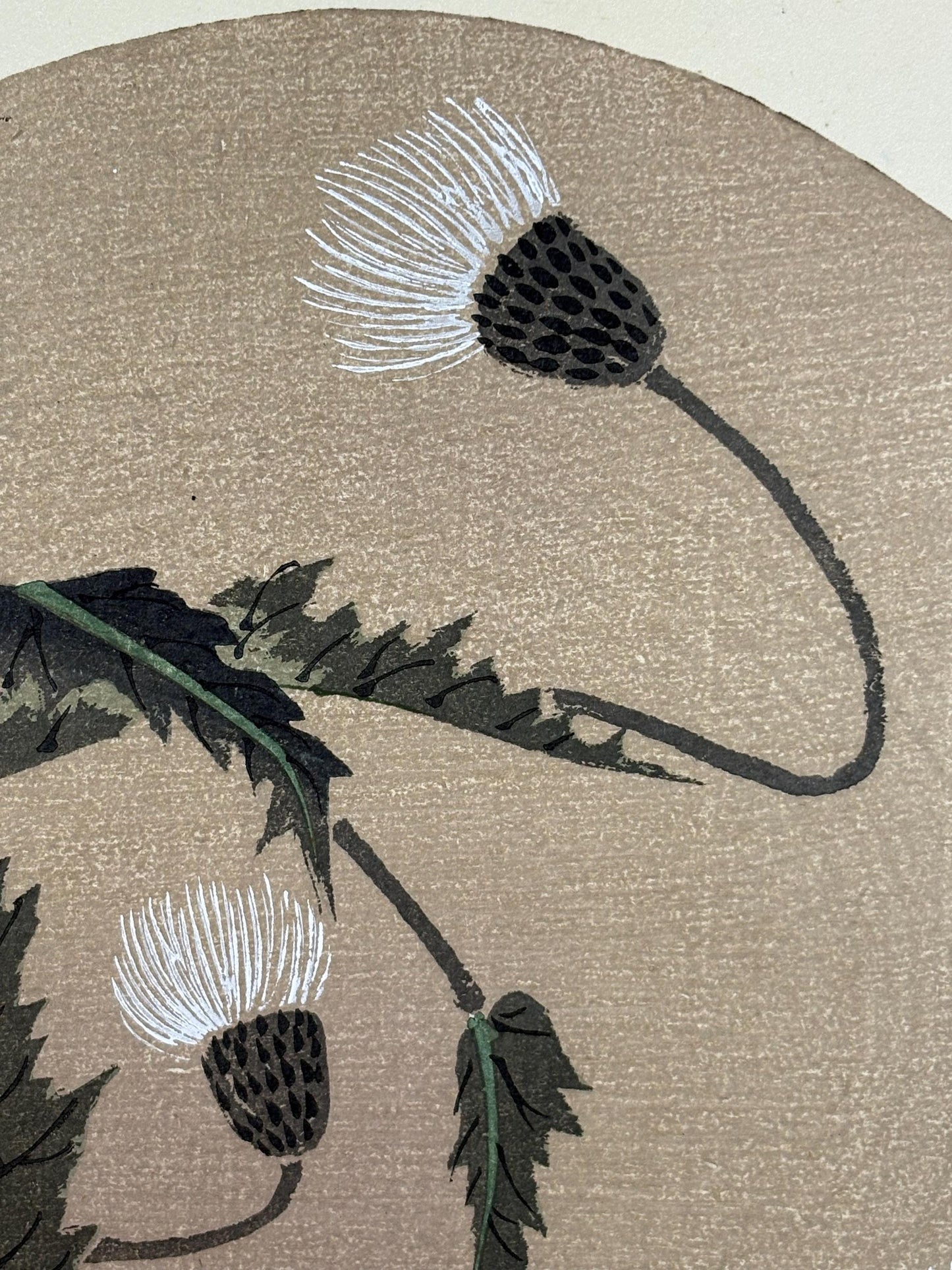 1908, Japanese antique woodblock print, Ito Jakuchu, "thistle, from Jakuchu gafu"