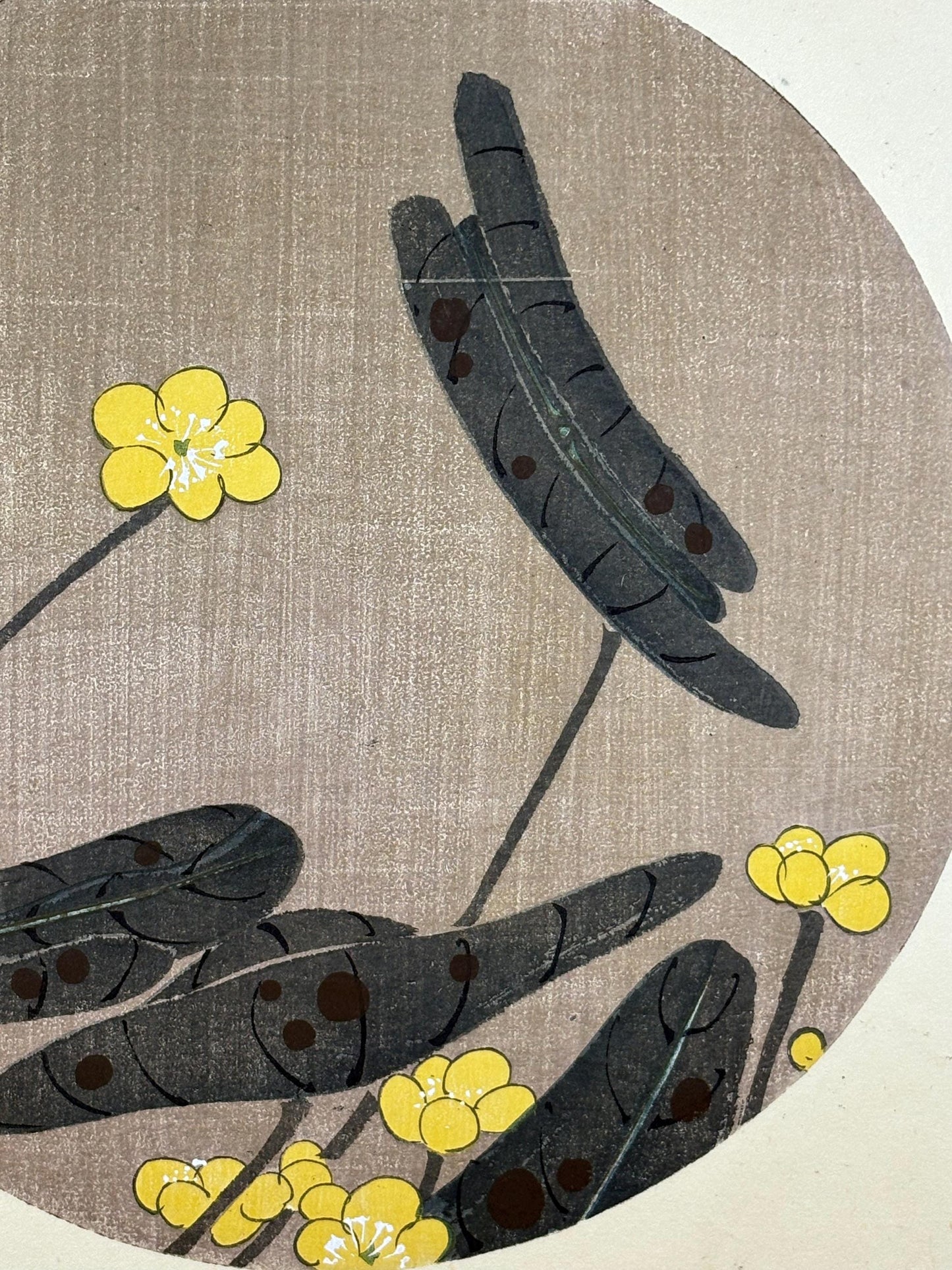 1908, Japanese antique woodblock print, Ito Jakuchu, "Japanese Pond-lily, from Jakuchu gafu"