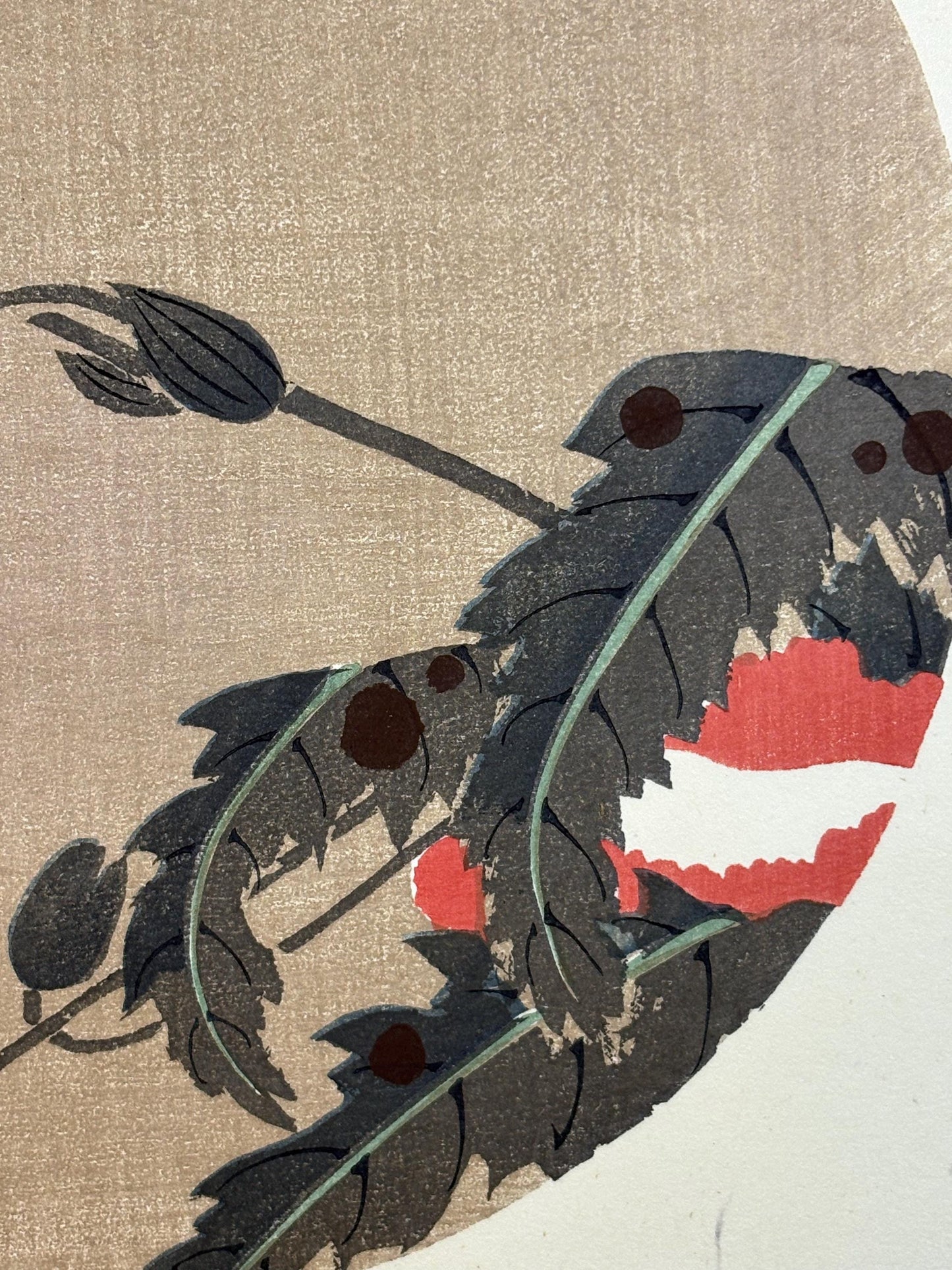 1908, Japanese antique woodblock print, Ito Jakuchu, "Poppy, from Jakuchu gafu"