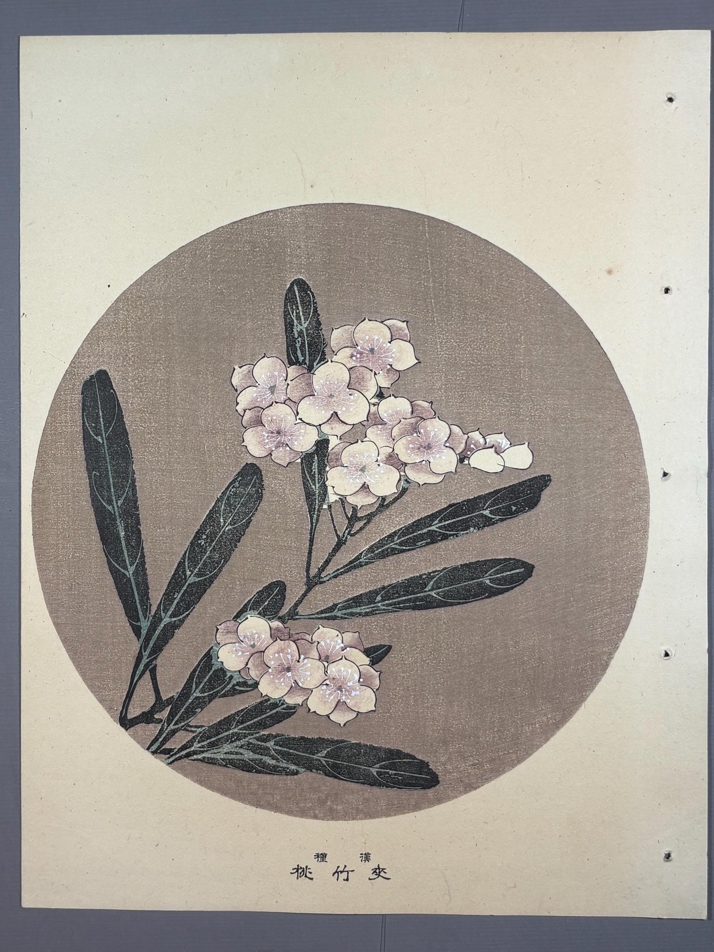 1908, Japanese antique woodblock print, Ito Jakuchu, "Oleander, from Jakuchu gafu"