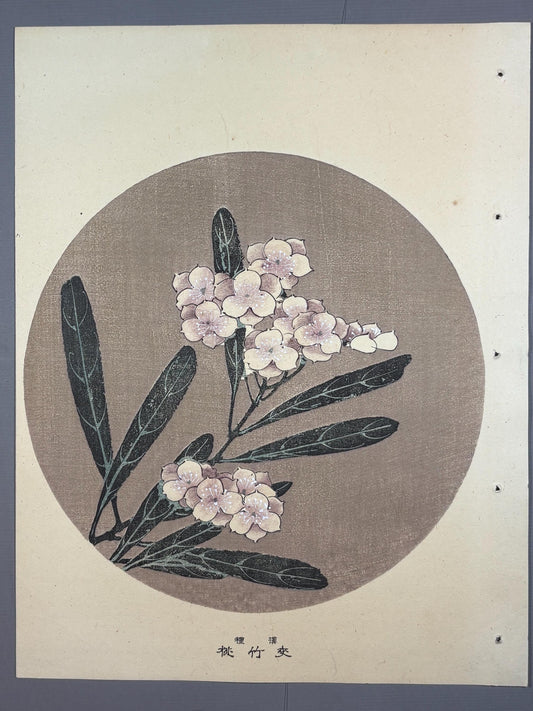 1908, Japanese antique woodblock print, Ito Jakuchu, "Oleander, from Jakuchu gafu"