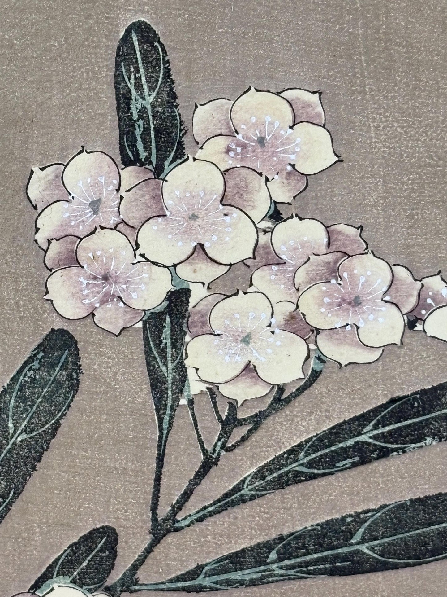 1908, Japanese antique woodblock print, Ito Jakuchu, "Oleander, from Jakuchu gafu"
