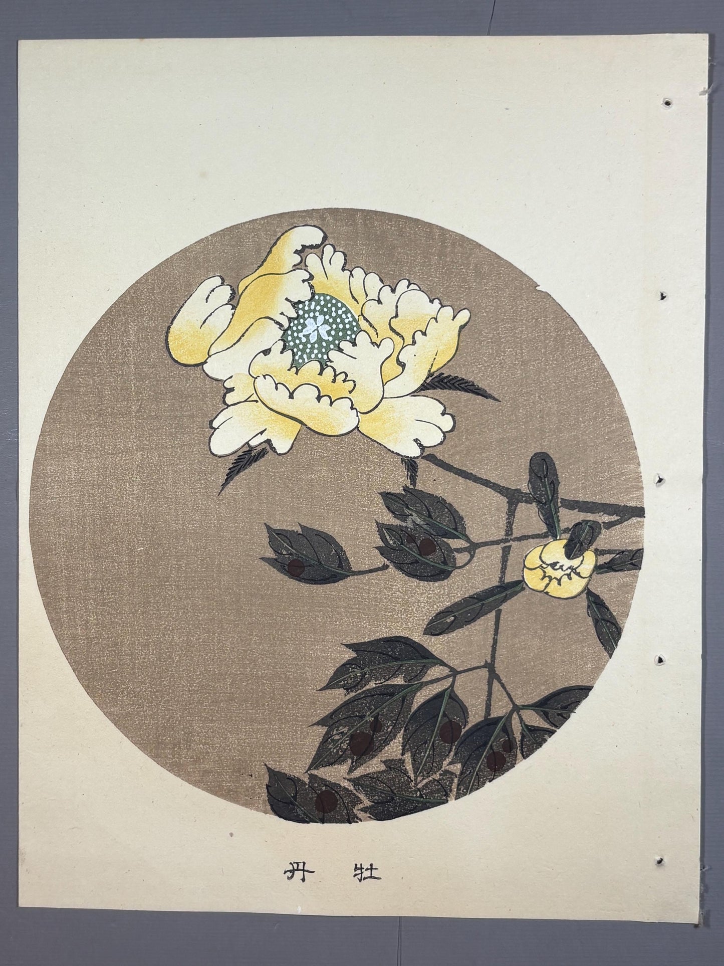 1908, Japanese antique woodblock print, Ito Jakuchu, "peony, from Jakuchu gafu"